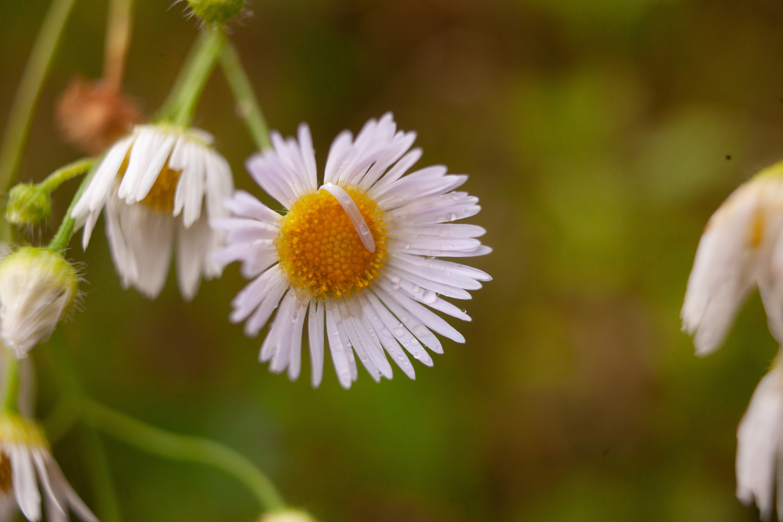 Дорожные путешествия 2021. Фотограф и ретушер Маргарита Павлюк Москва