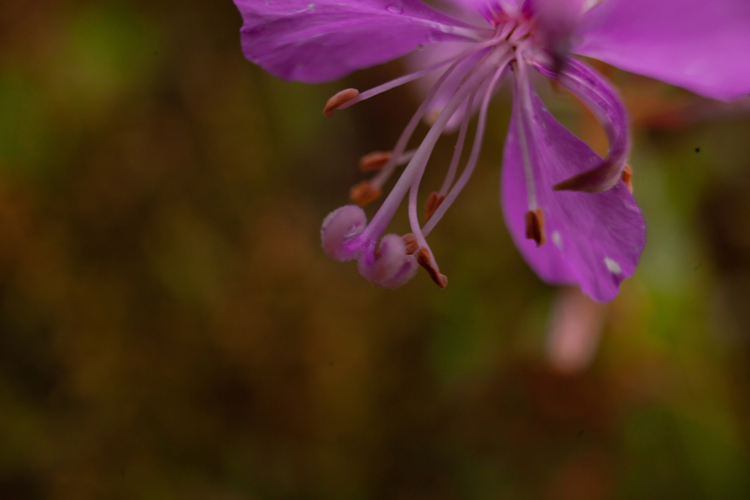 Дорожные путешествия 2021. Фотограф и ретушер Маргарита Павлюк Москва