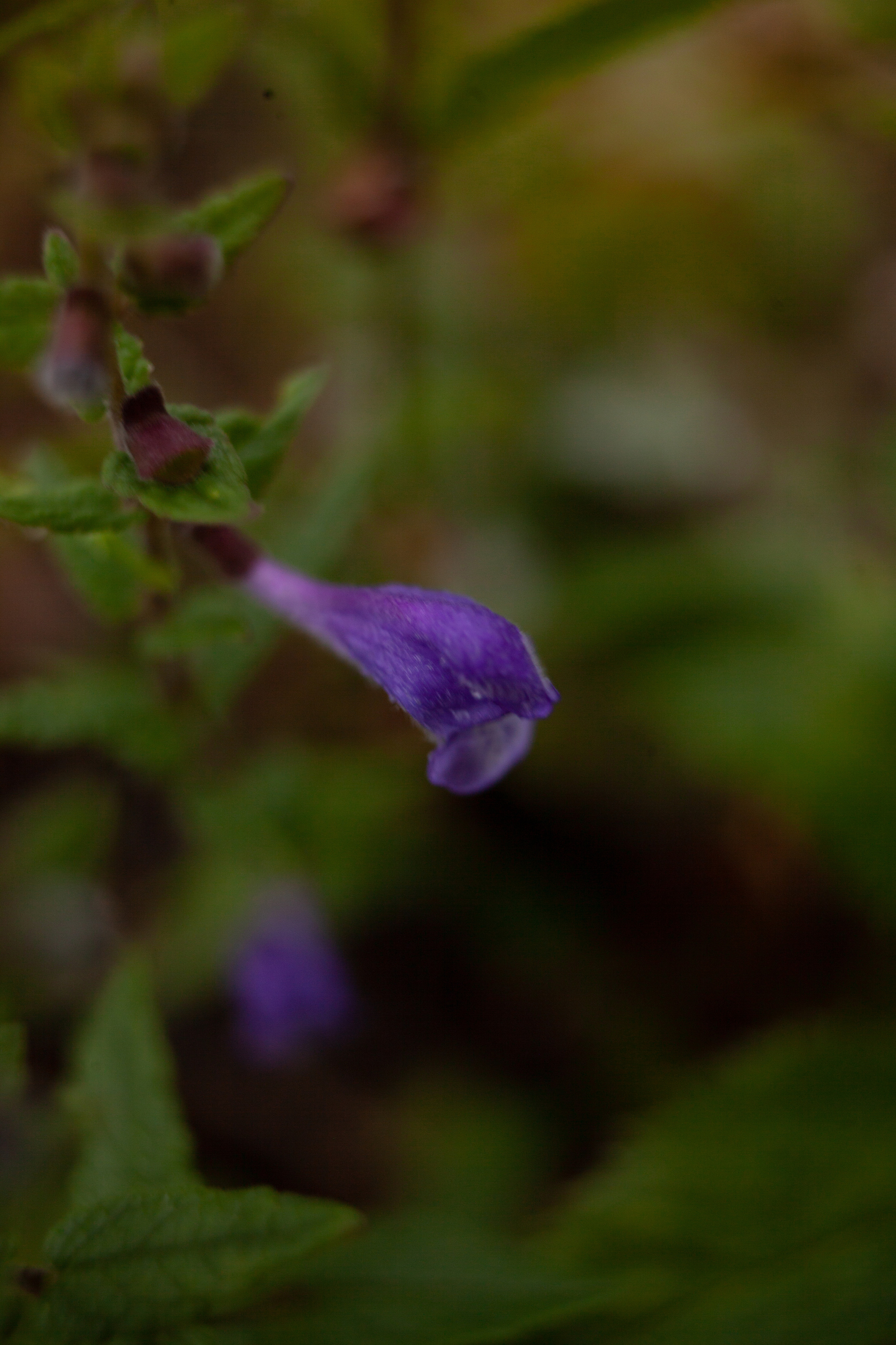 Дорожные путешествия 2021. Фотограф и ретушер Маргарита Павлюк Москва