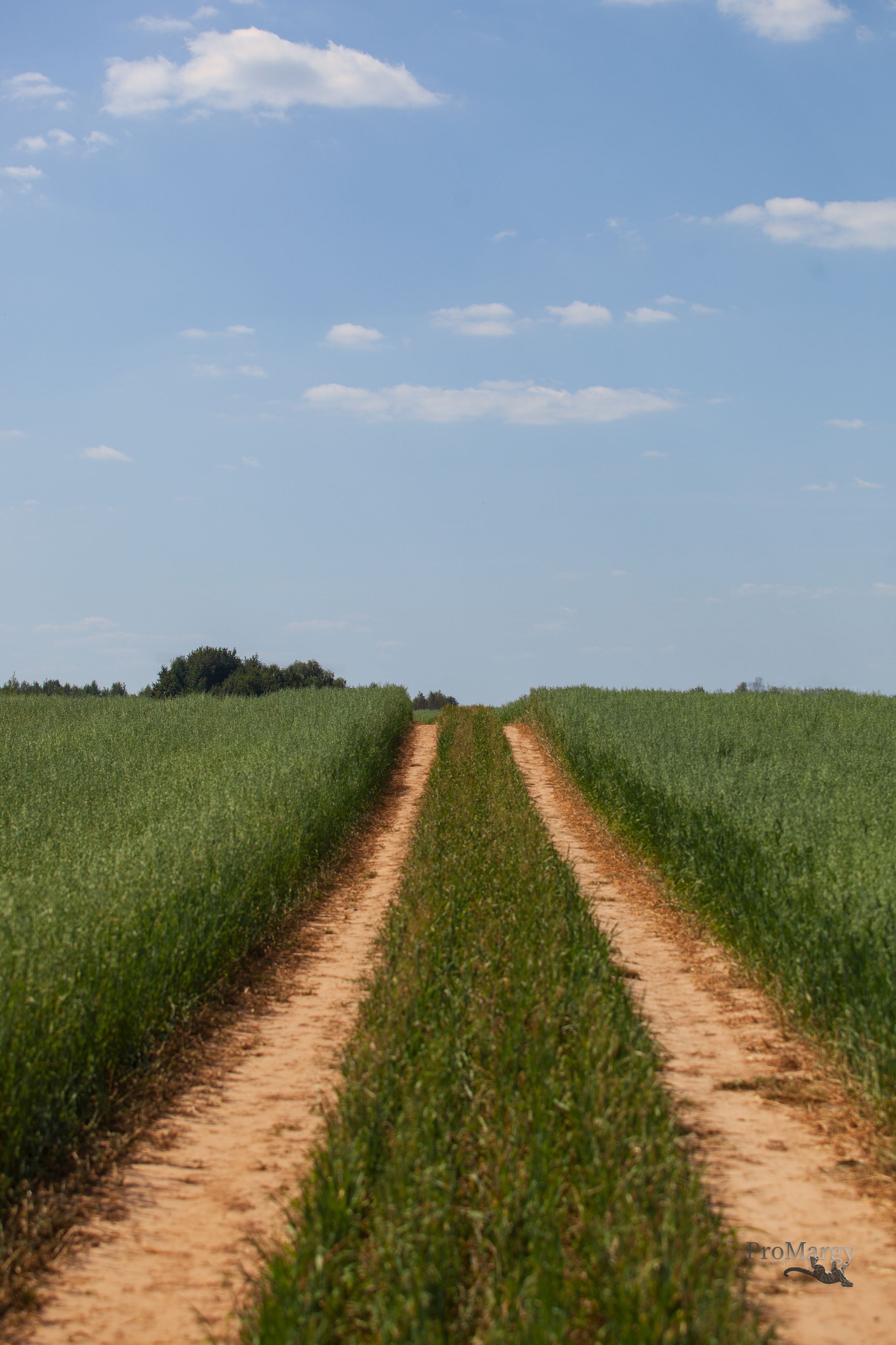 Дорожные путешествия 2021. Фотограф и ретушер Маргарита Павлюк Москва