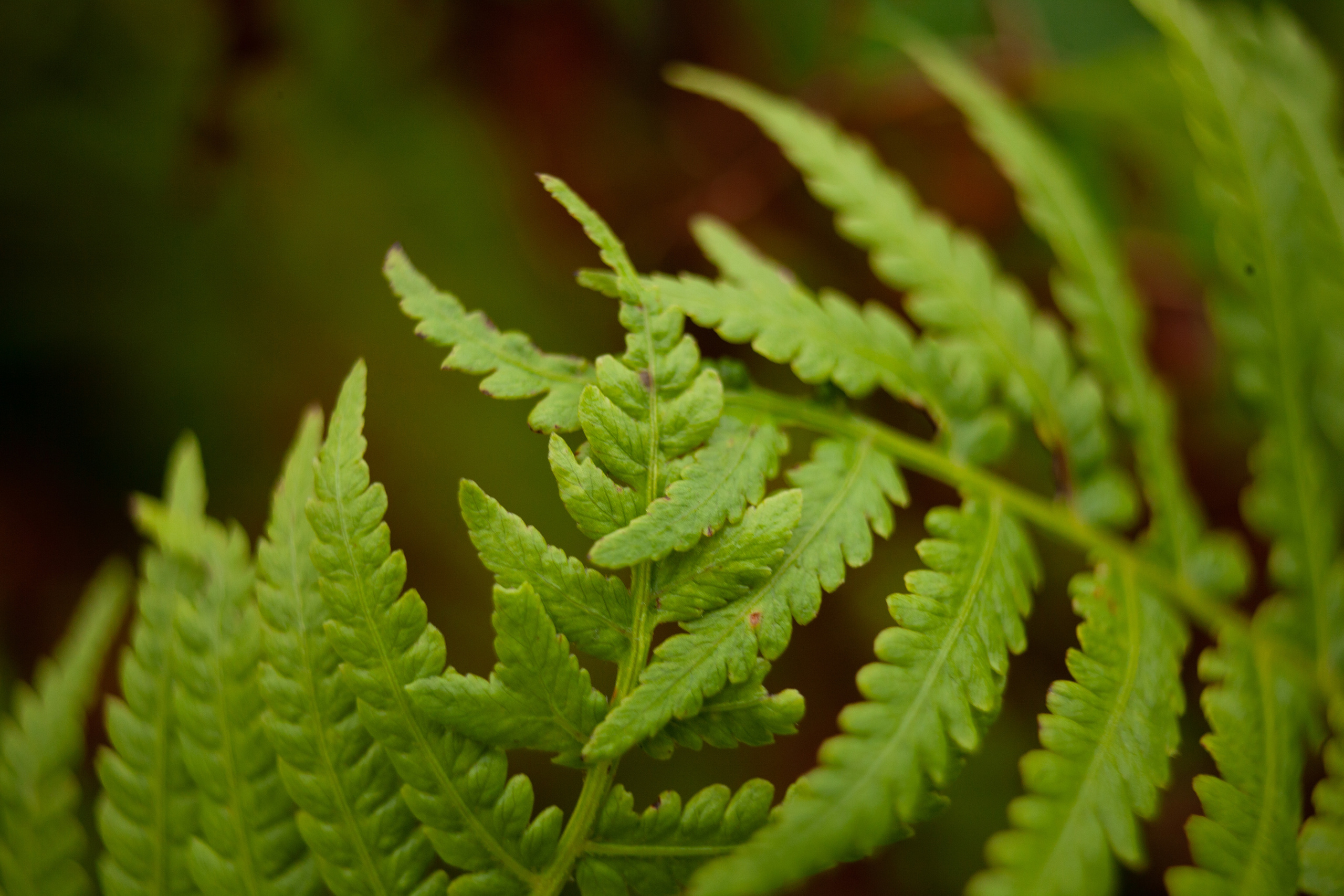 Дорожные путешествия 2021. Фотограф и ретушер Маргарита Павлюк Москва