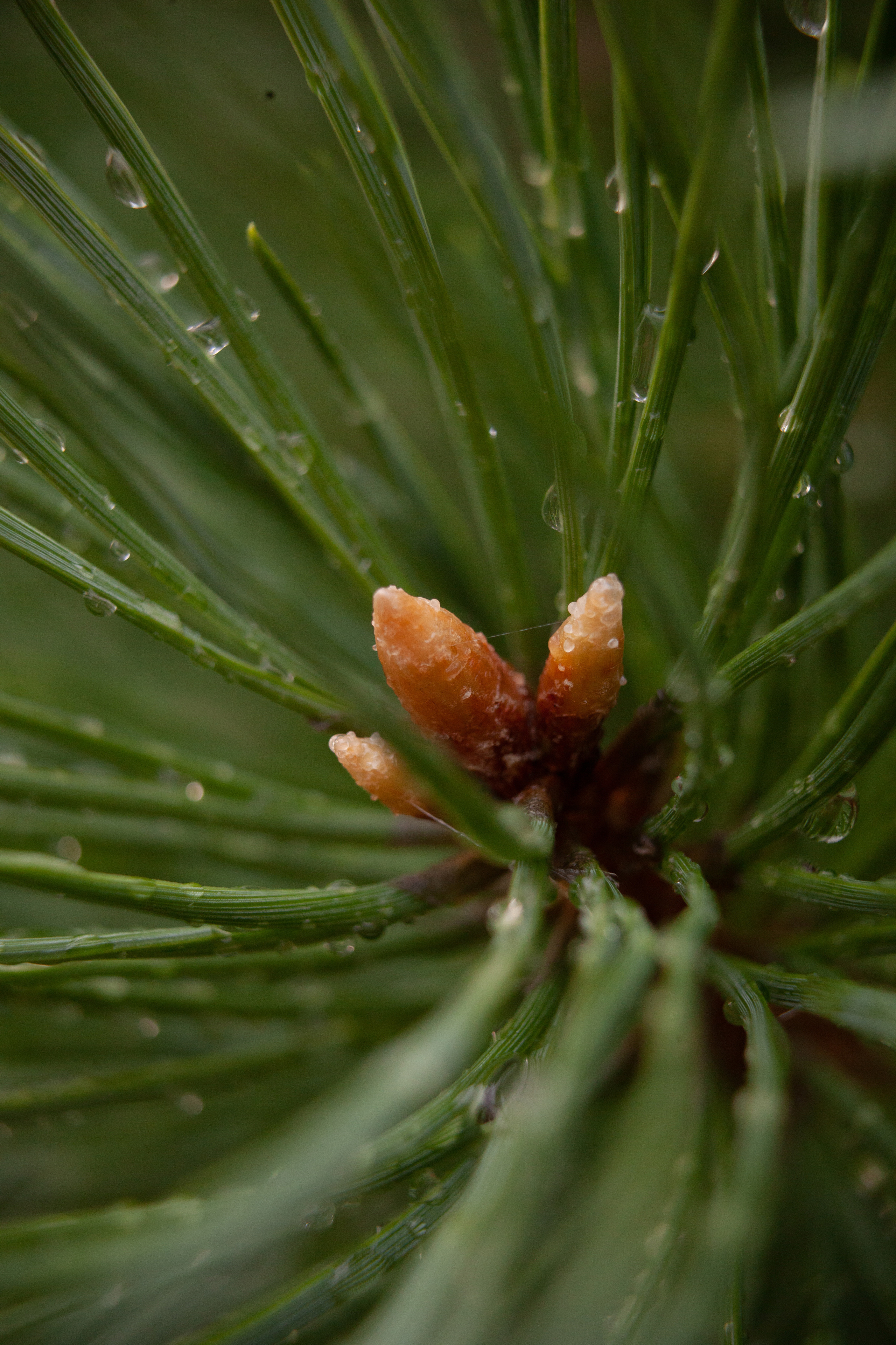 Дорожные путешествия 2021. Фотограф и ретушер Маргарита Павлюк Москва
