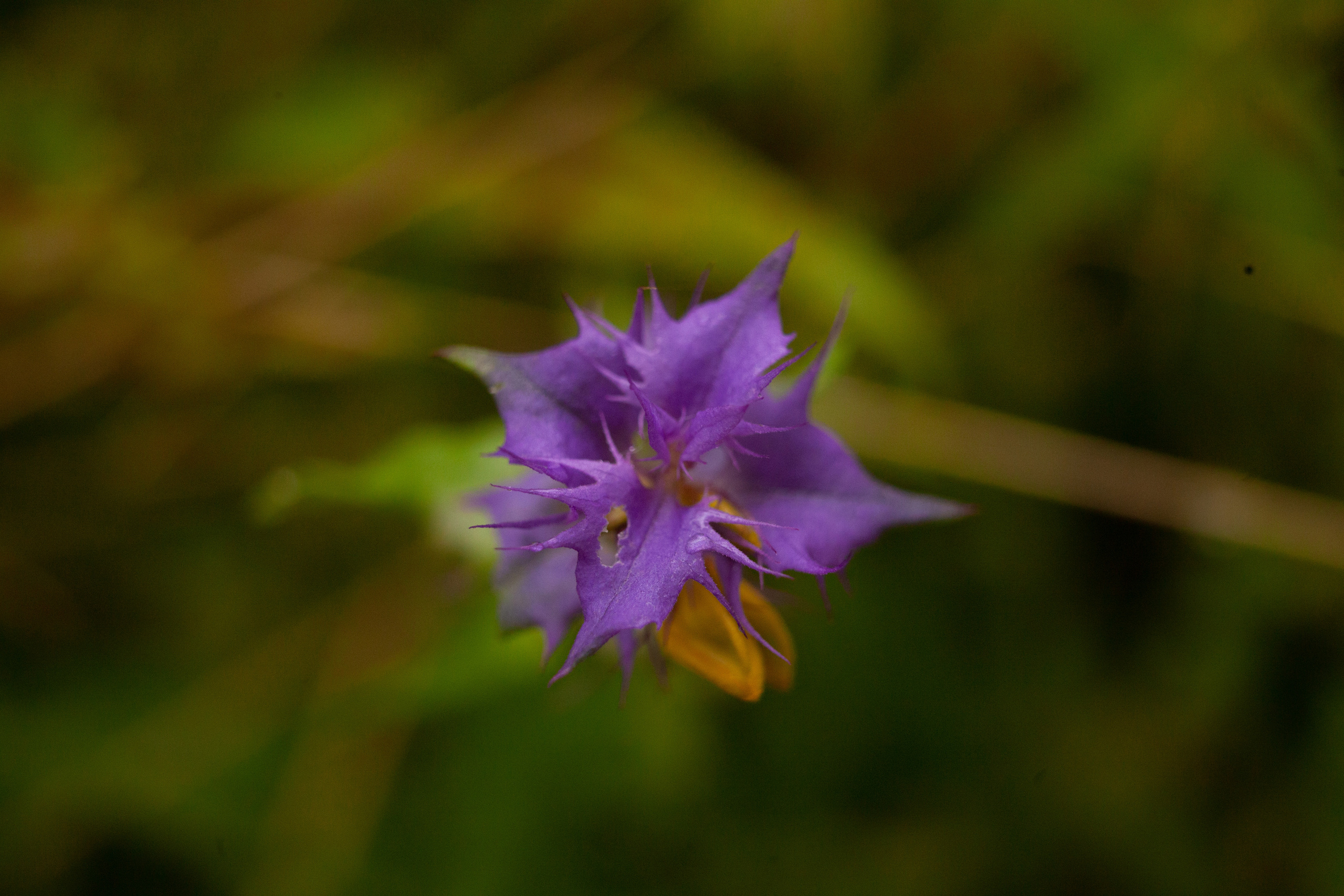 Дорожные путешествия 2021. Фотограф и ретушер Маргарита Павлюк Москва
