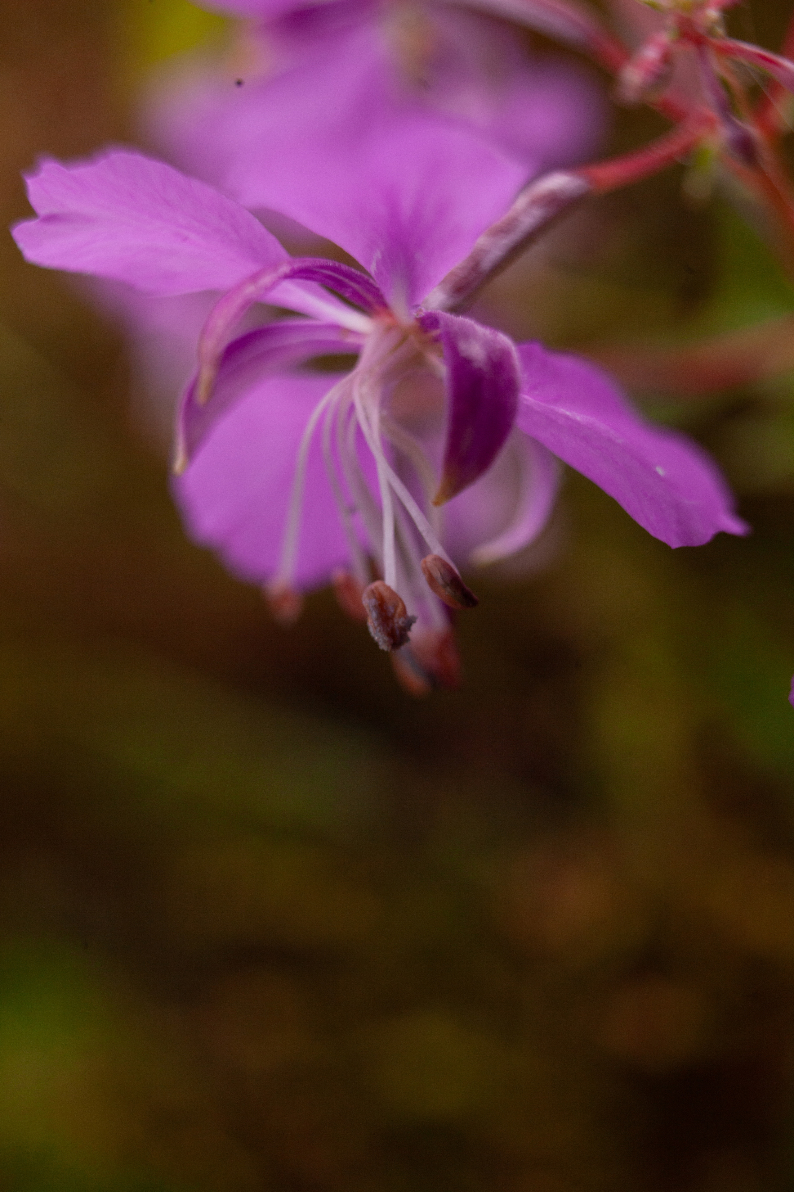 Дорожные путешествия 2021. Фотограф и ретушер Маргарита Павлюк Москва