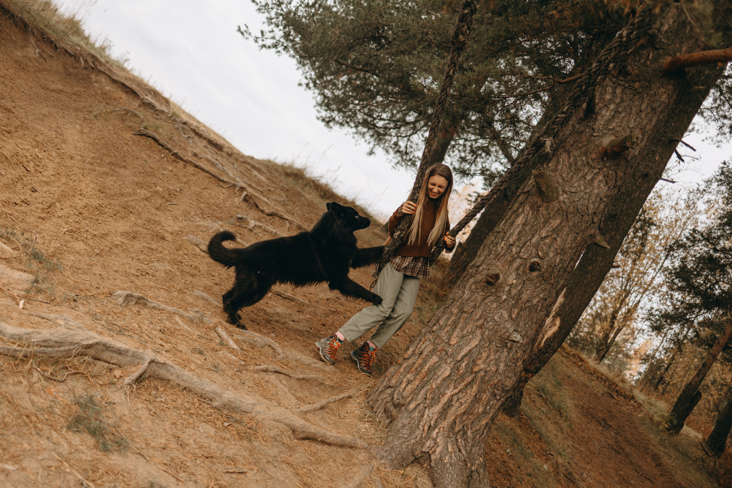 Лора и Джанго. Фотограф — Анималист | Санкт-Петербург