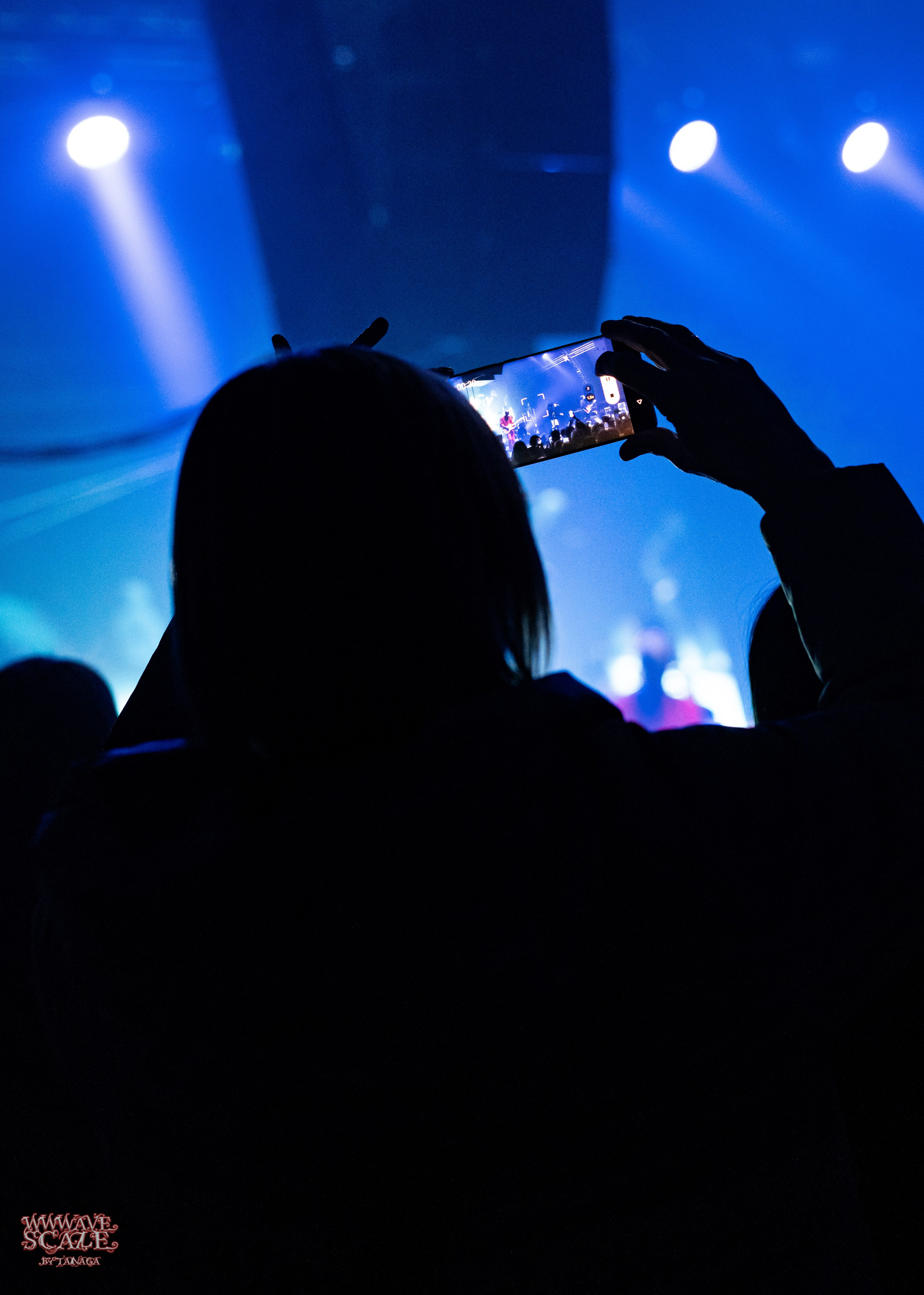 Джизус / @Кроп Арена / Краснодар. Концертный фотограф в Краснодаре