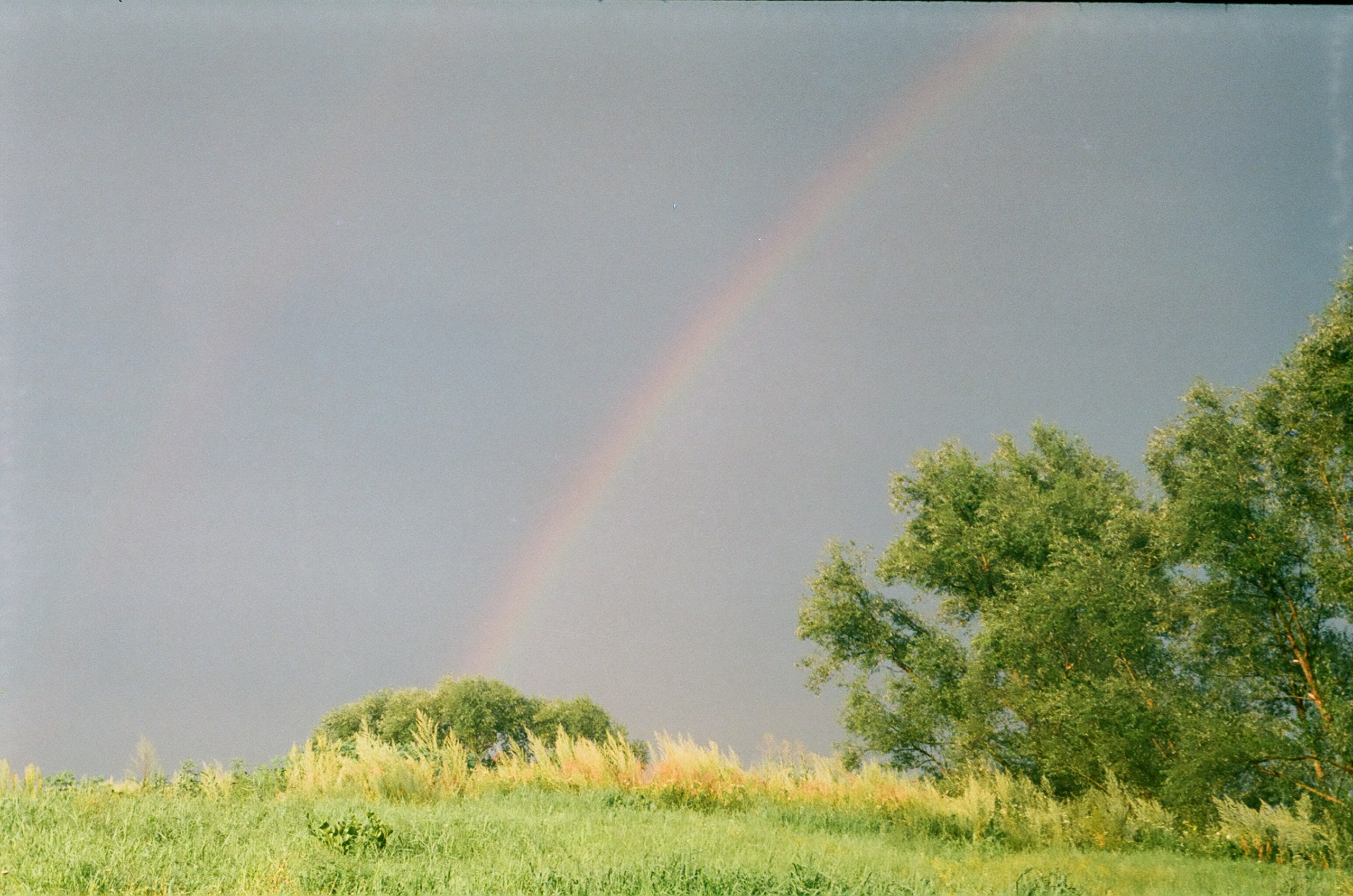 Пленка. Фотограф в Москве Наталья Новикова