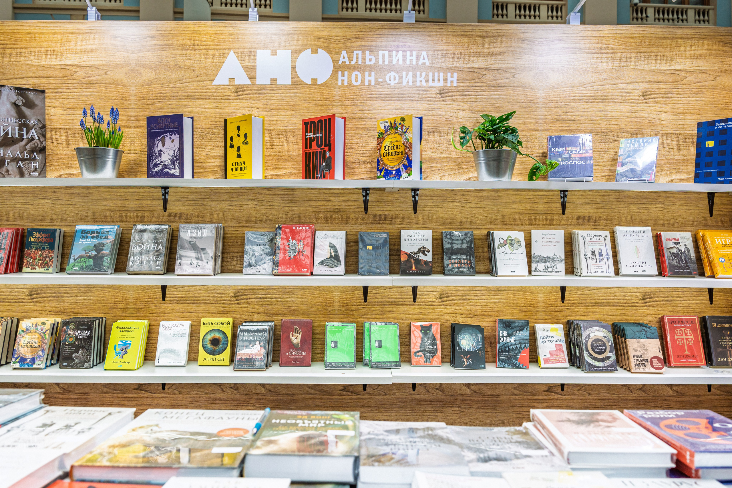 Автограф-сессия. Пенкин Александр