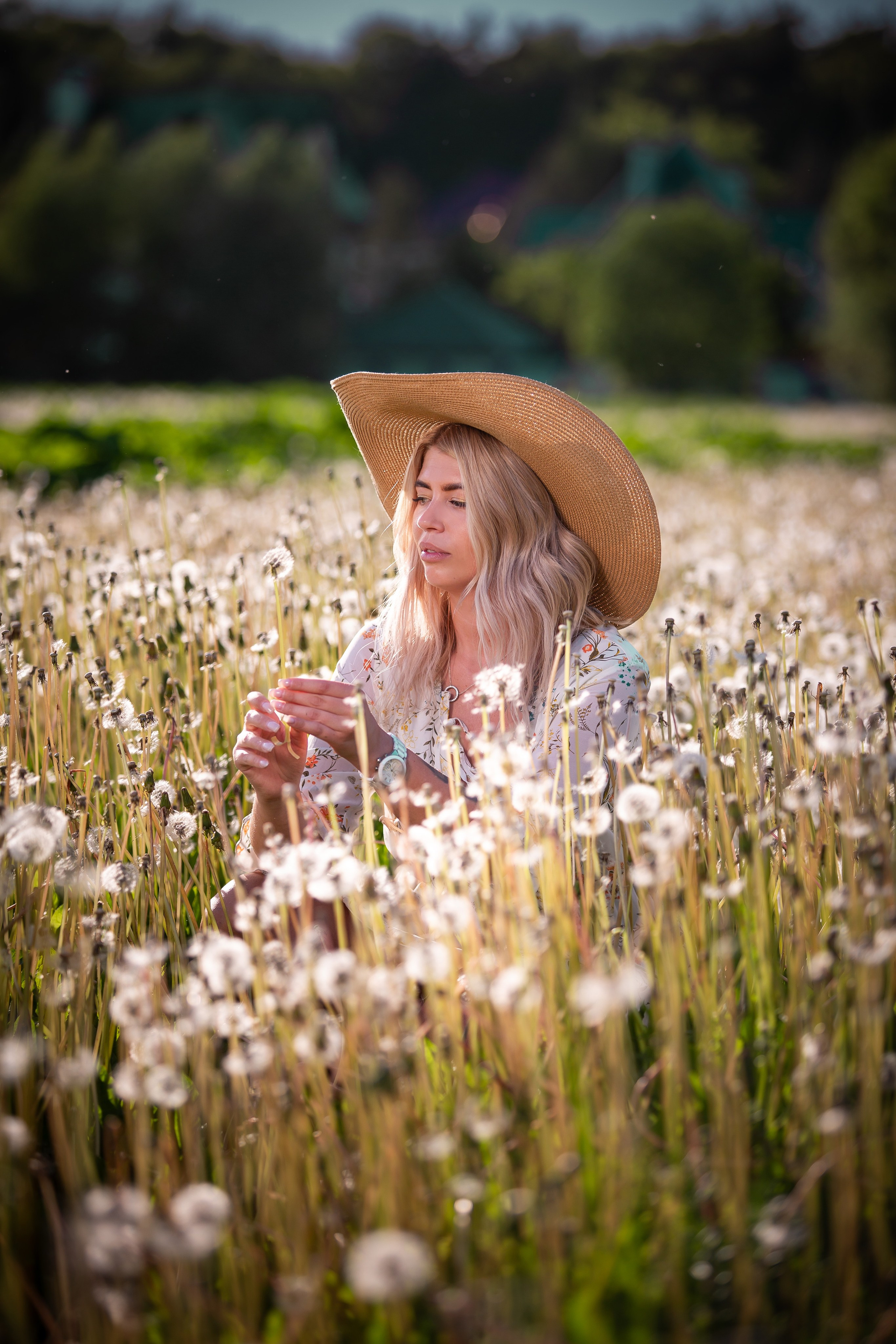 Одуваны. Фотограф Мария Кольцова