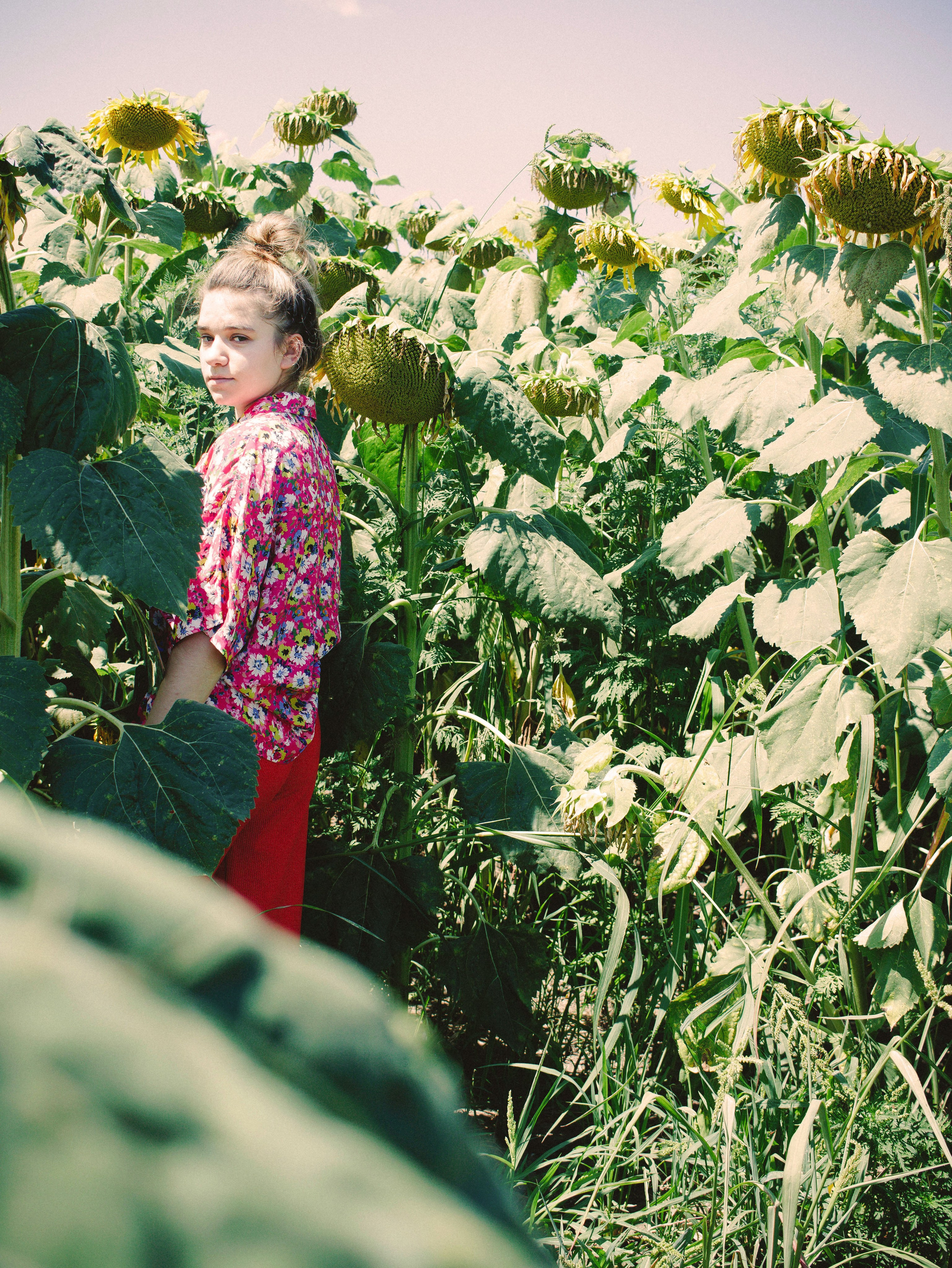 Поле подсолнухов. Foto-creator Alisa Zobova