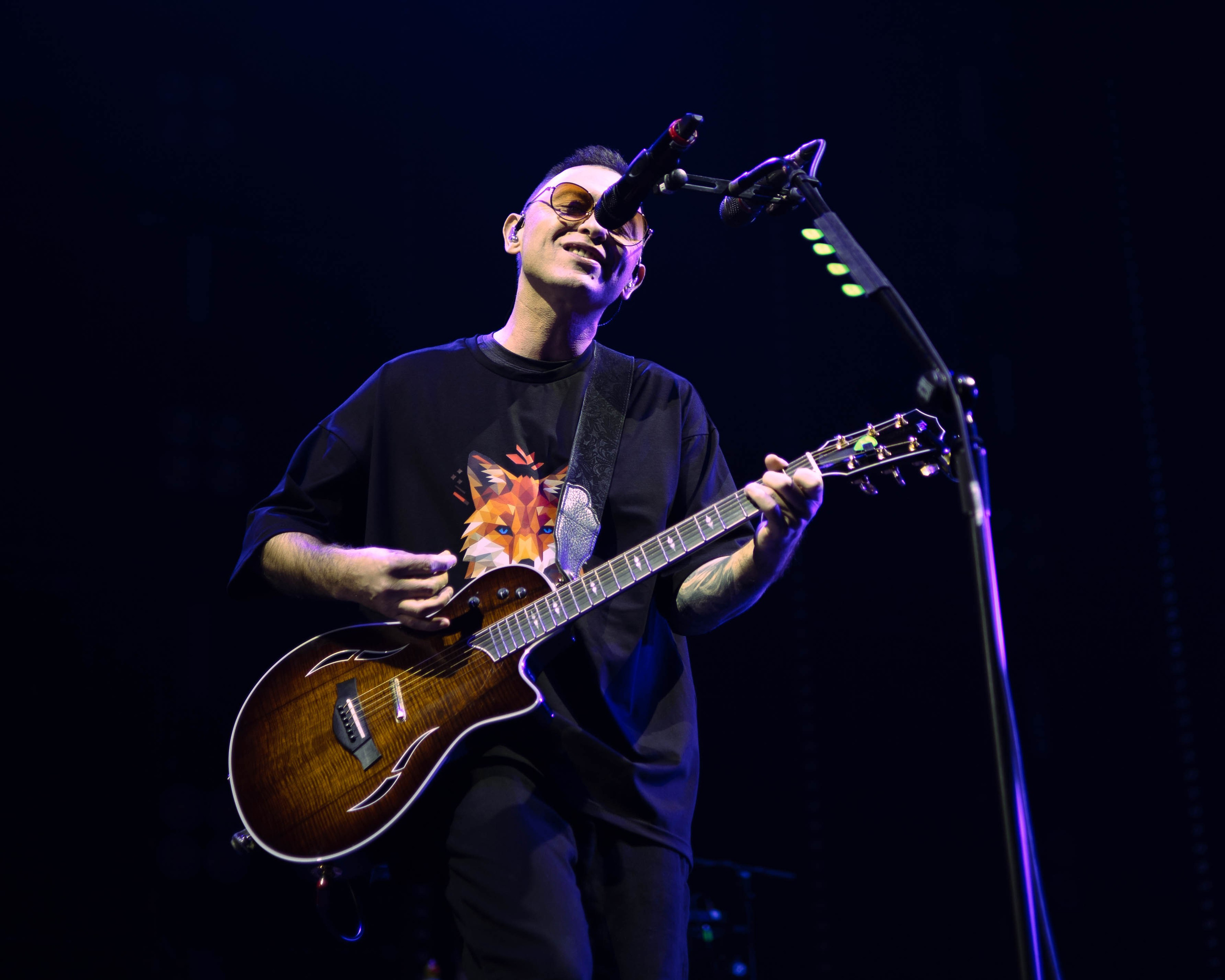 Концерты. Фотограф Татьяна Власова