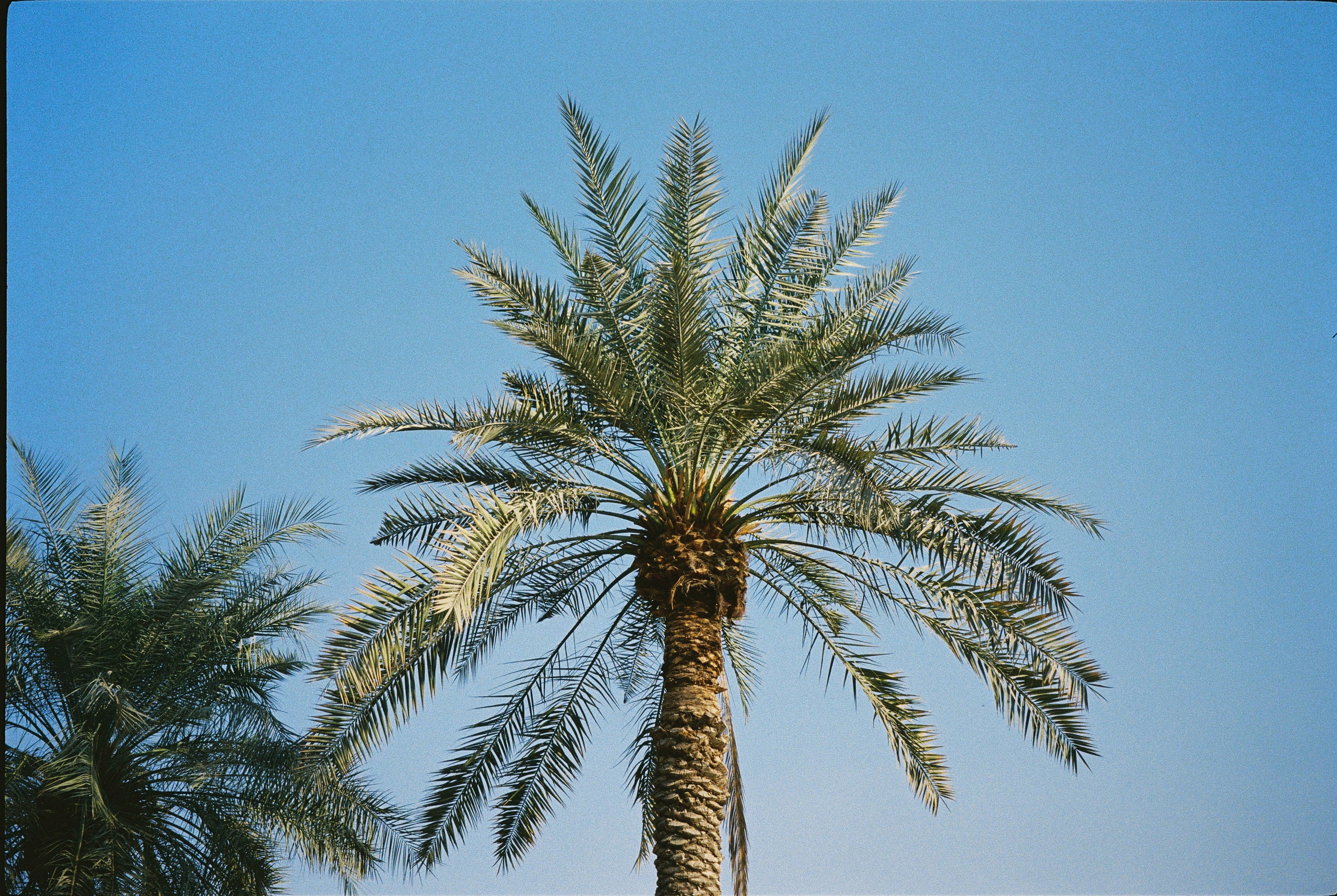 DUBKI'2025. Beyourselfph.ru