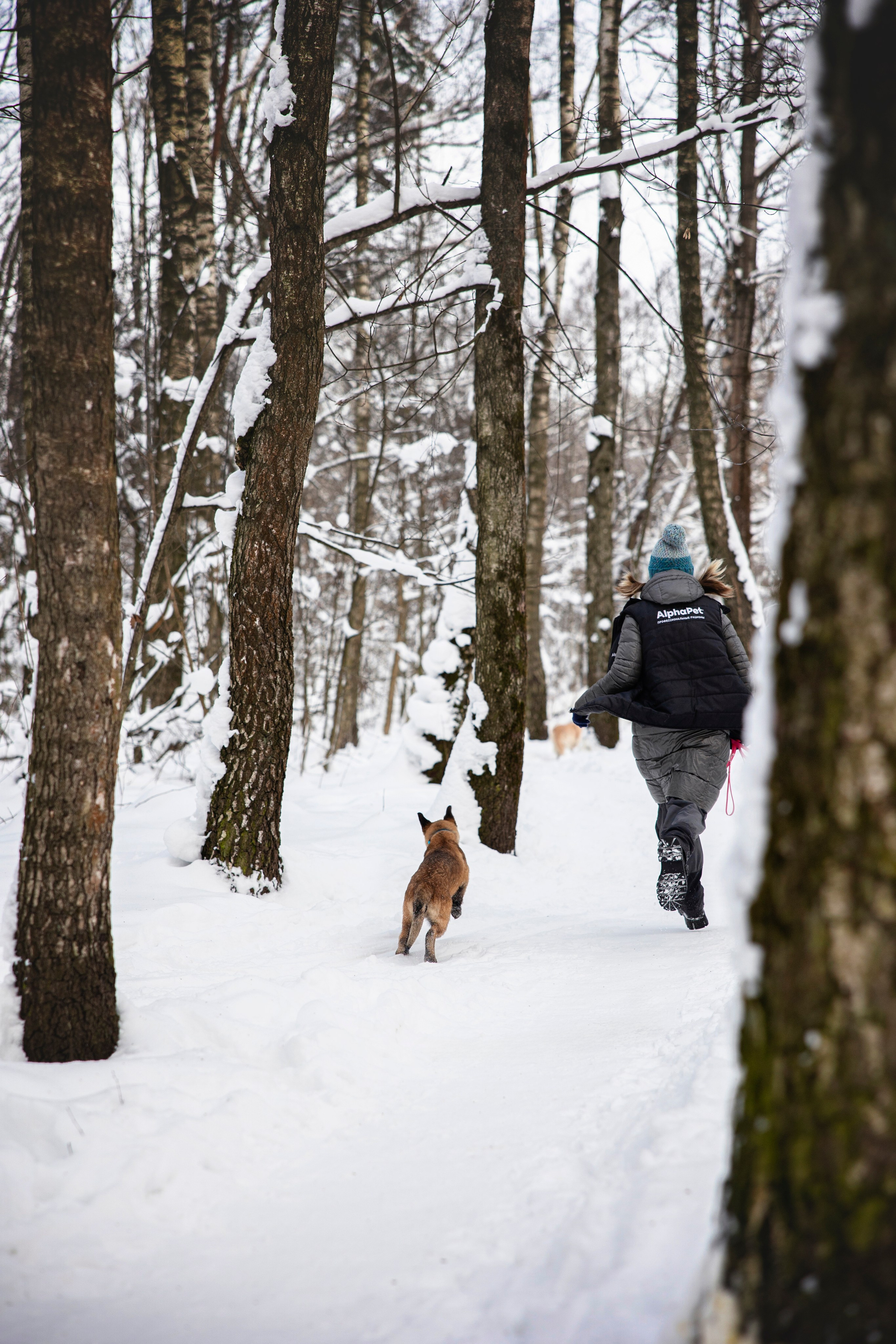 Бэлла и Панда. Анастасия Белаш