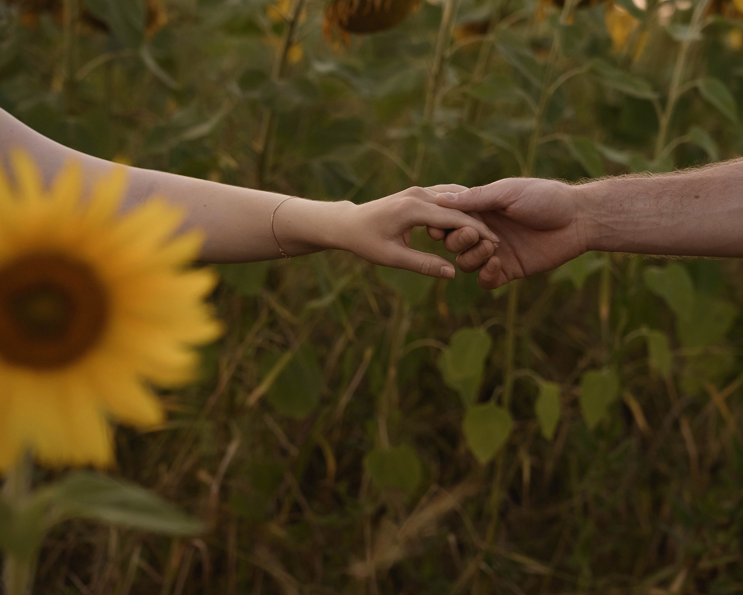 Катя | Алексей. Свадебный и семейный фотограф в Казани Диана Портнова