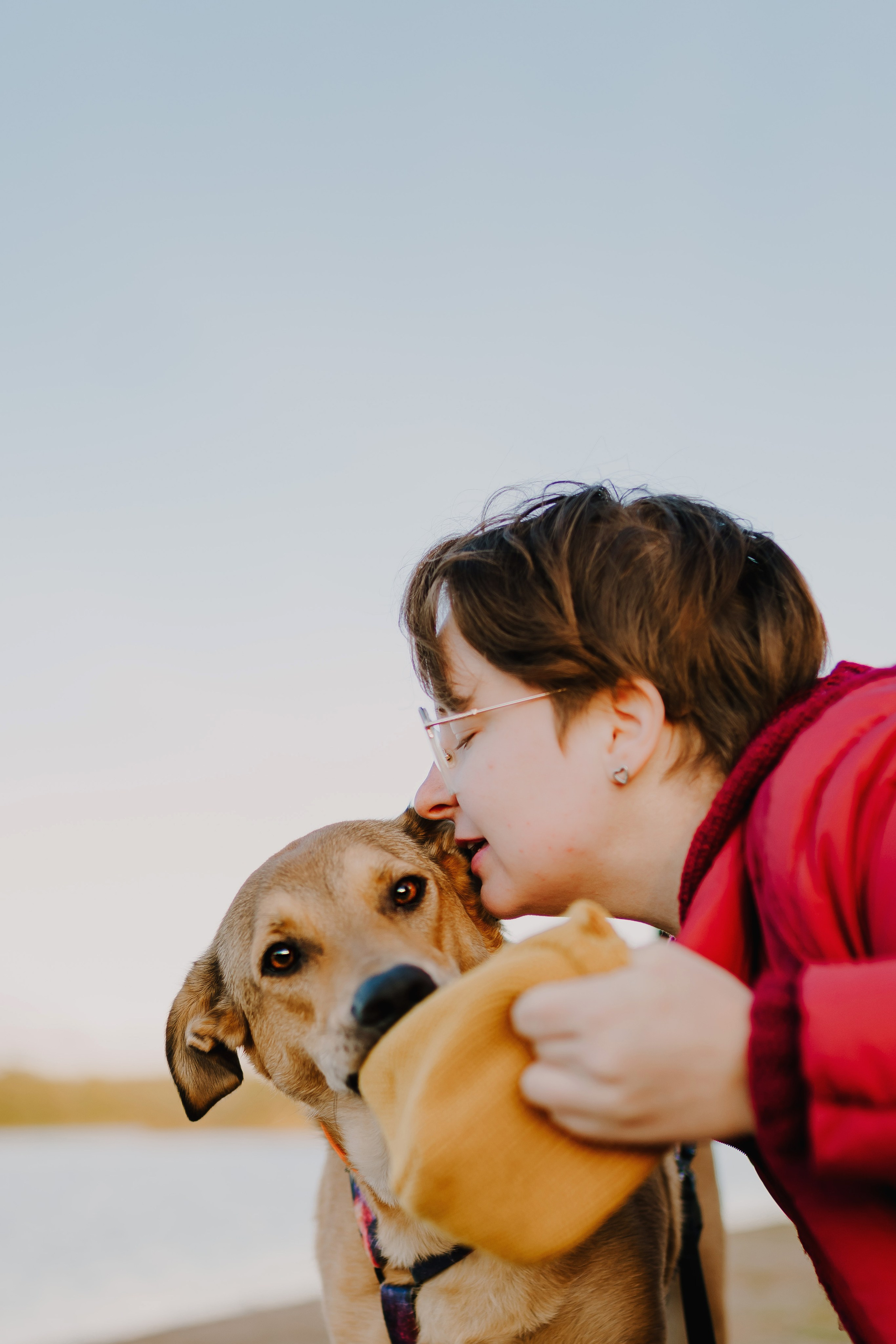 Семейная фотосессия с двумя собаками на закате. Фотограф анималист в Спб недорого Олеся Майорова
