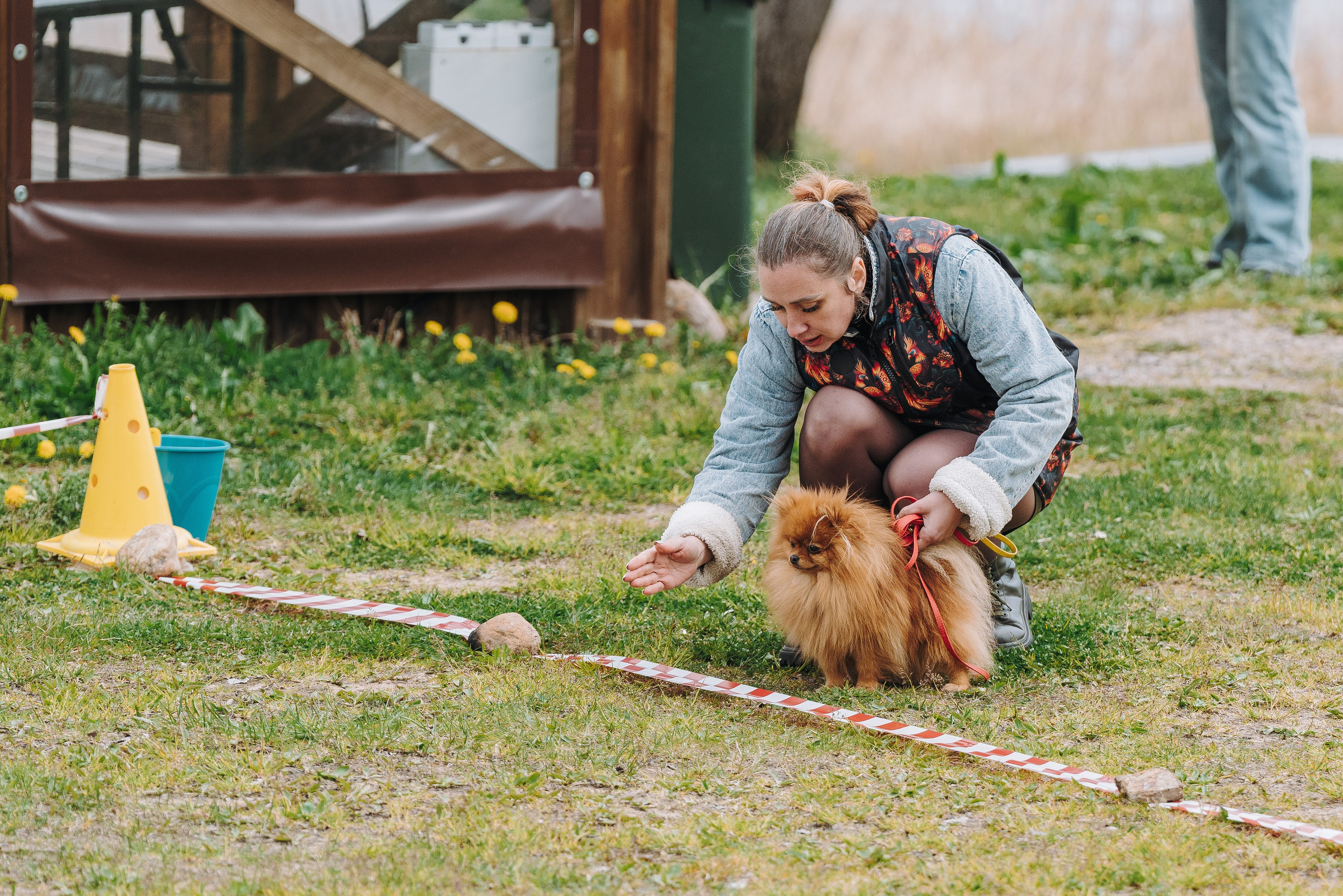 Соревнования по ноузворку в Лосево. Фотограф анималист в Спб недорого Олеся Майорова