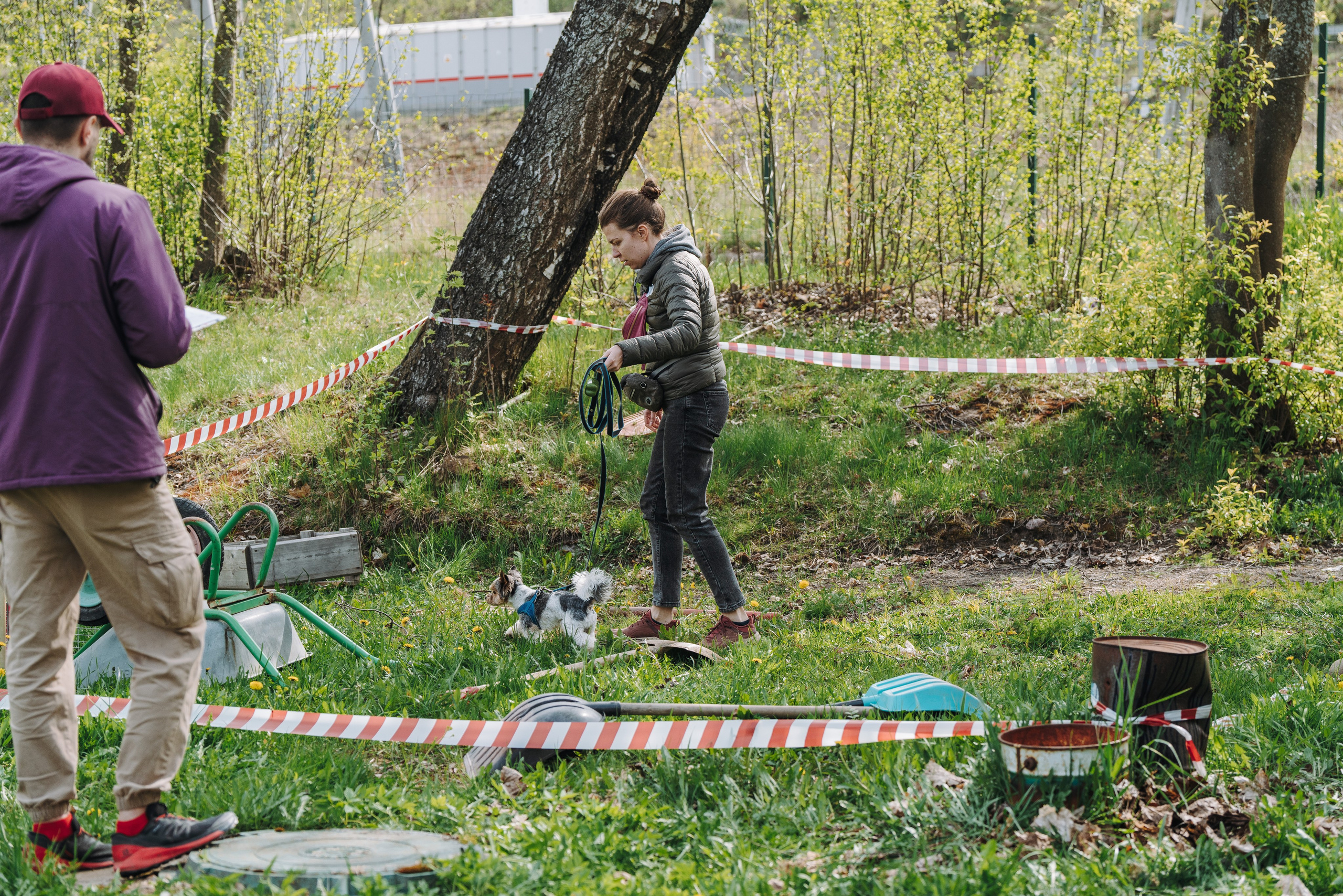 Соревнования по ноузворку в Лосево. Фотограф анималист в Спб недорого Олеся Майорова