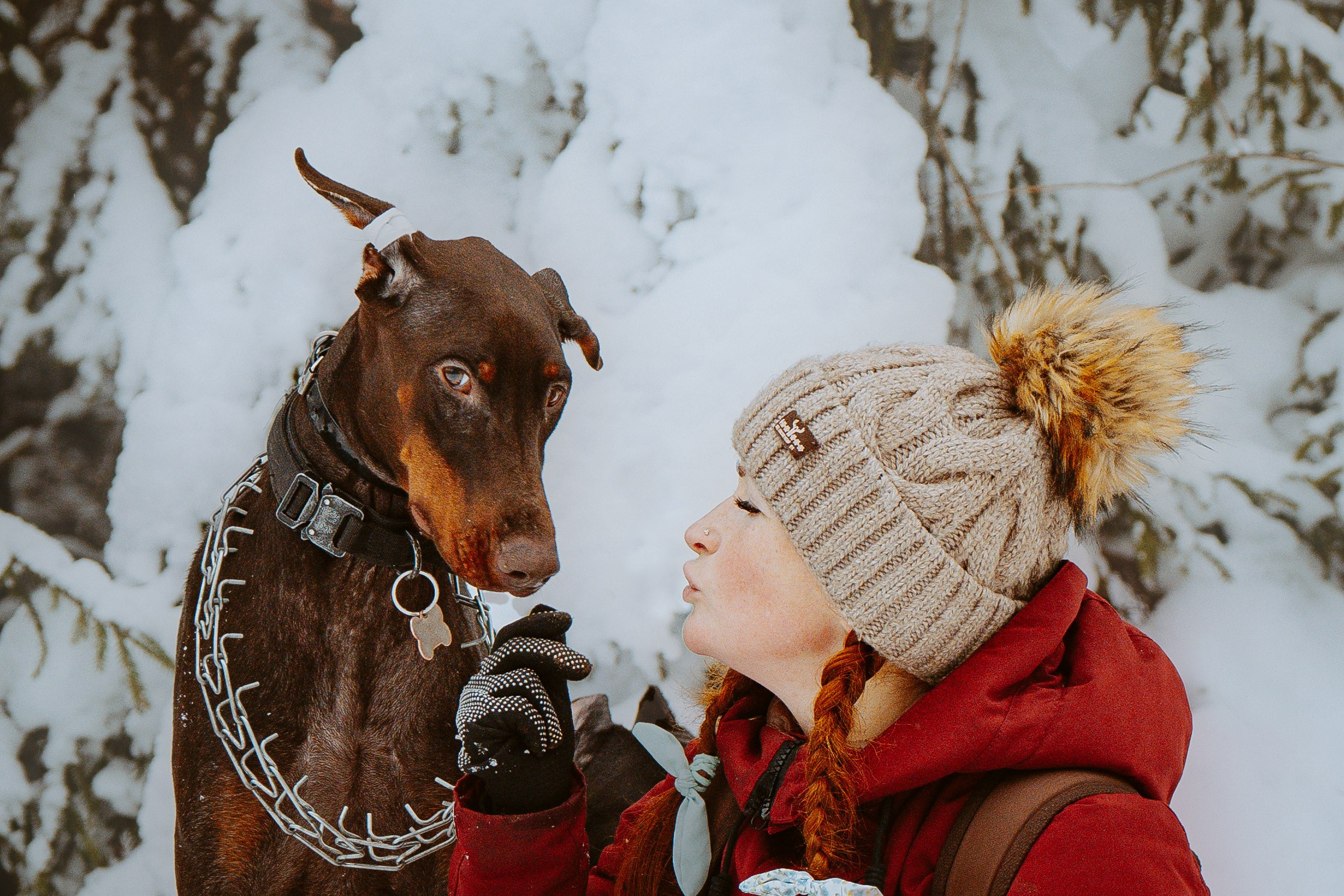 Дог трекинг. Фотограф анималист в Спб недорого Олеся Майорова