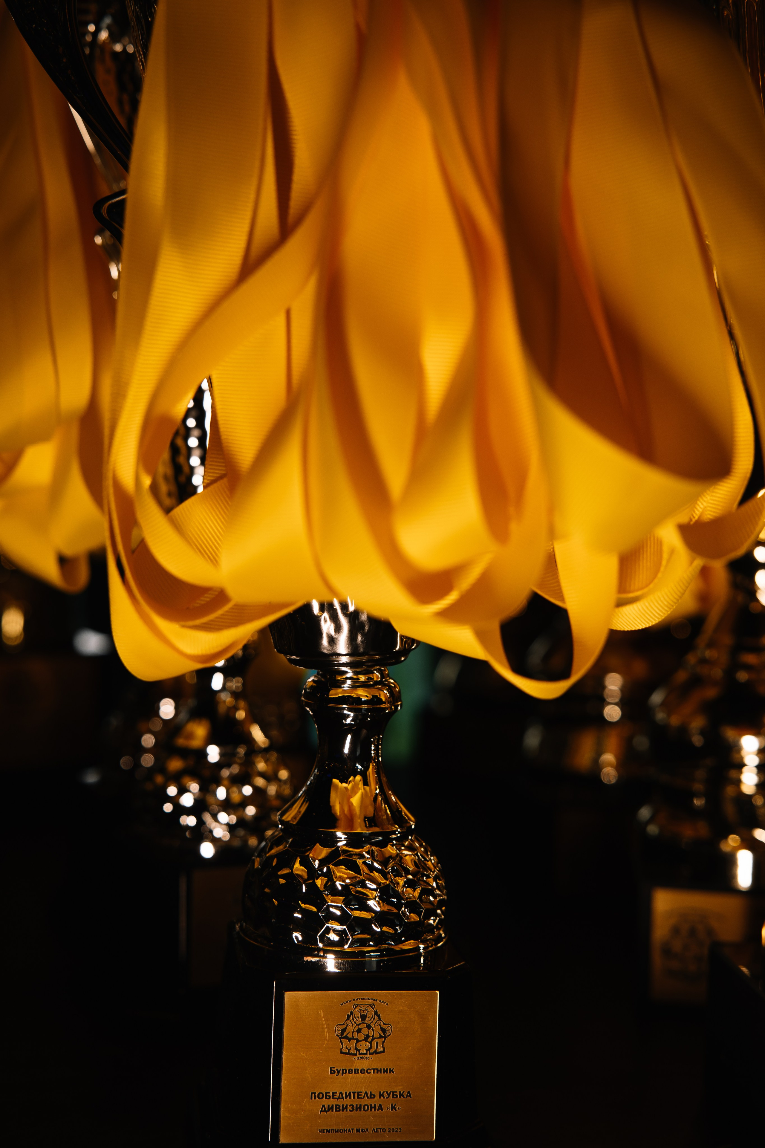 Репортаж. Свадебный Фотограф и Видеограф Омск