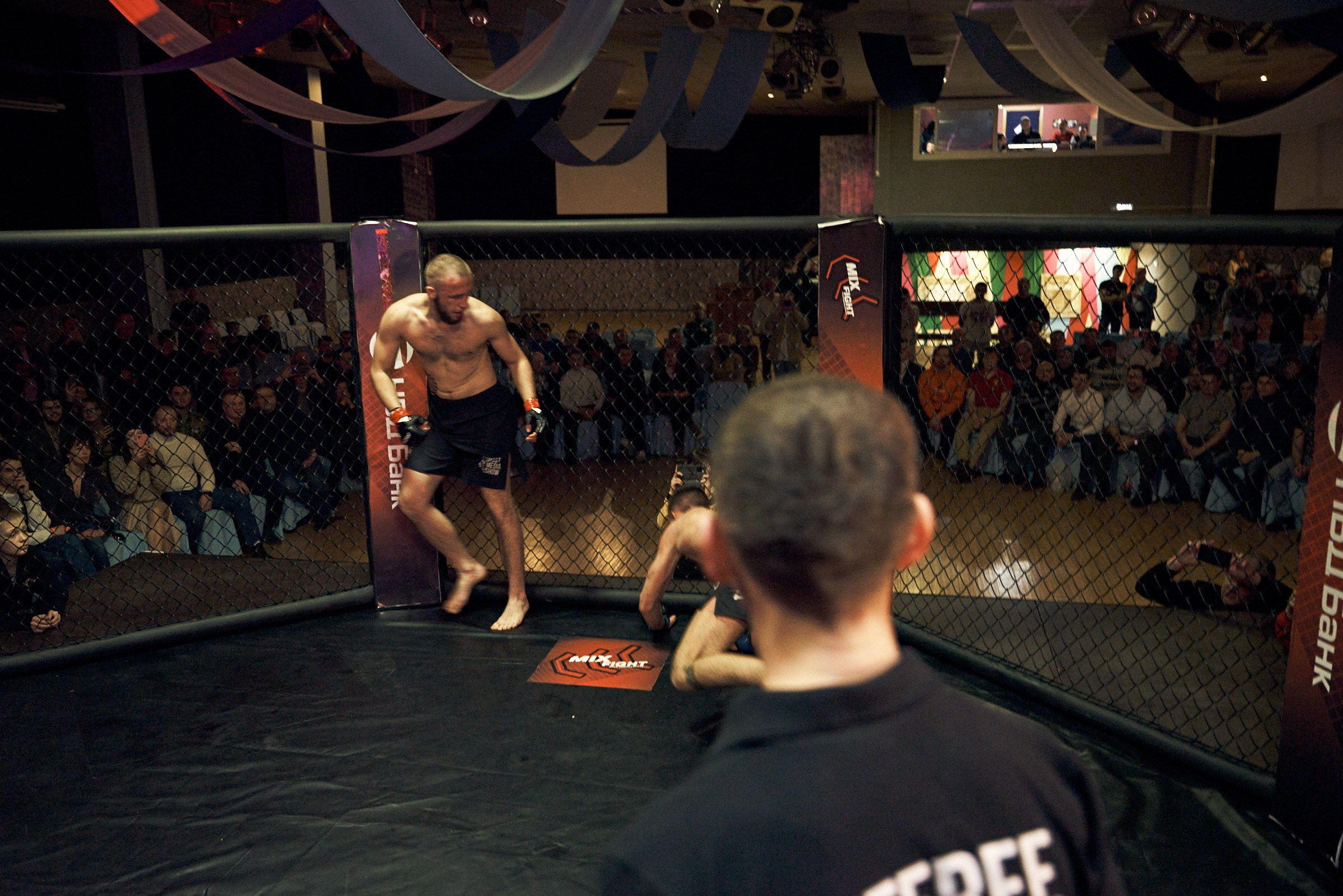 Бои. Маляревич Дмитрий свадебный фотограф