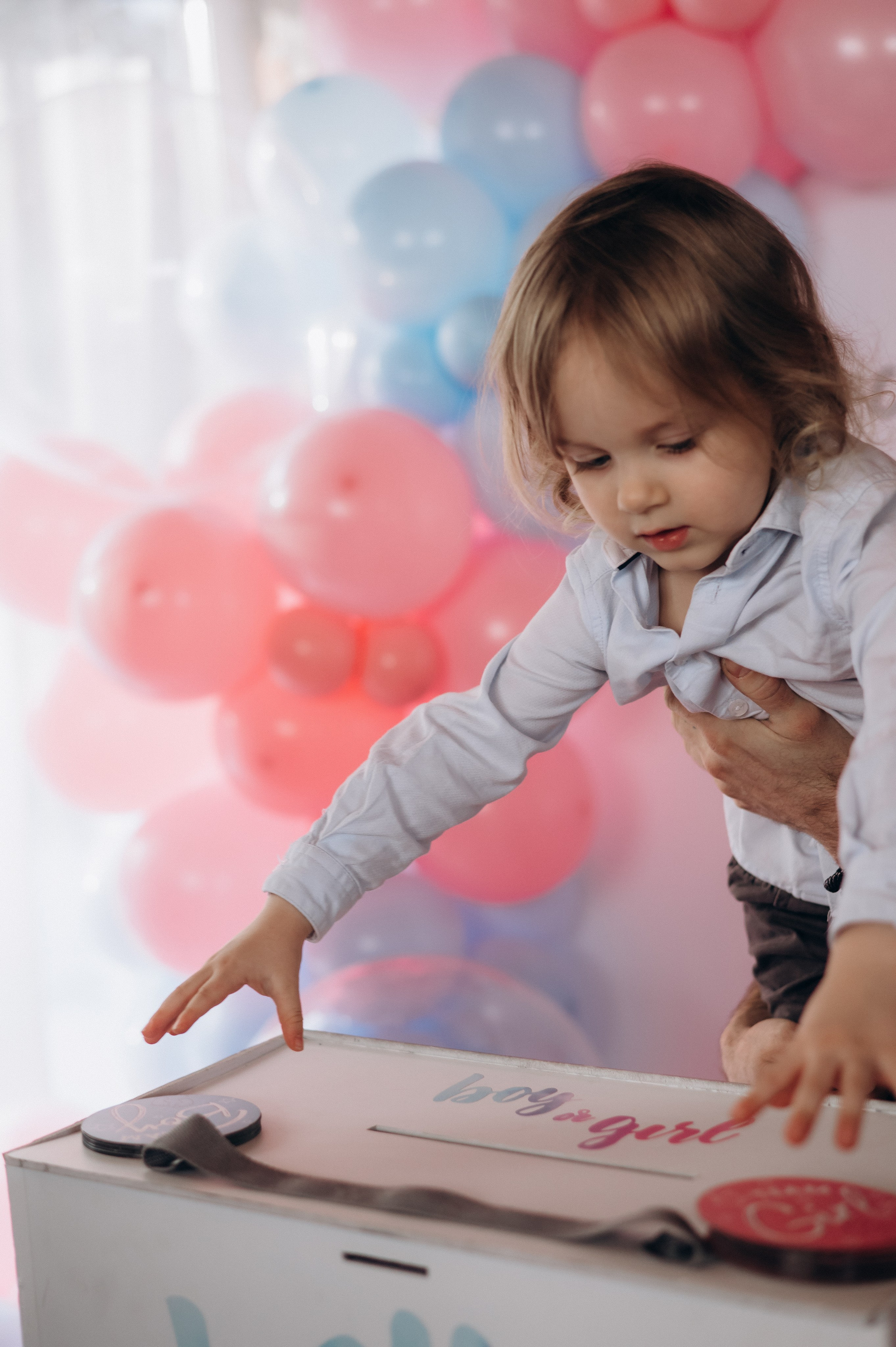 Гендер пати. Фотограф в Иркутске