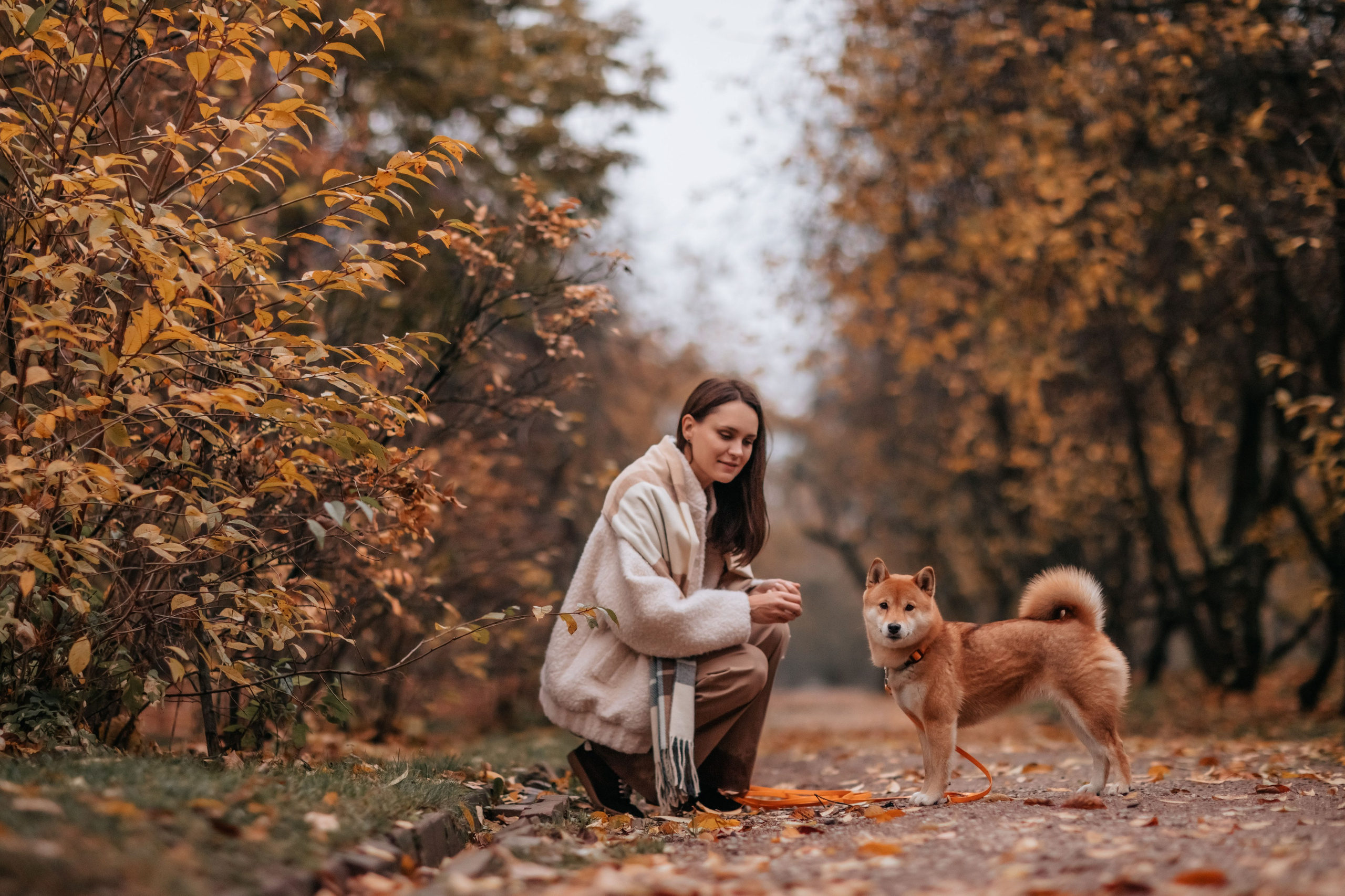 Анна и Айма. Семейный фотограф анималист Мария Крючкова