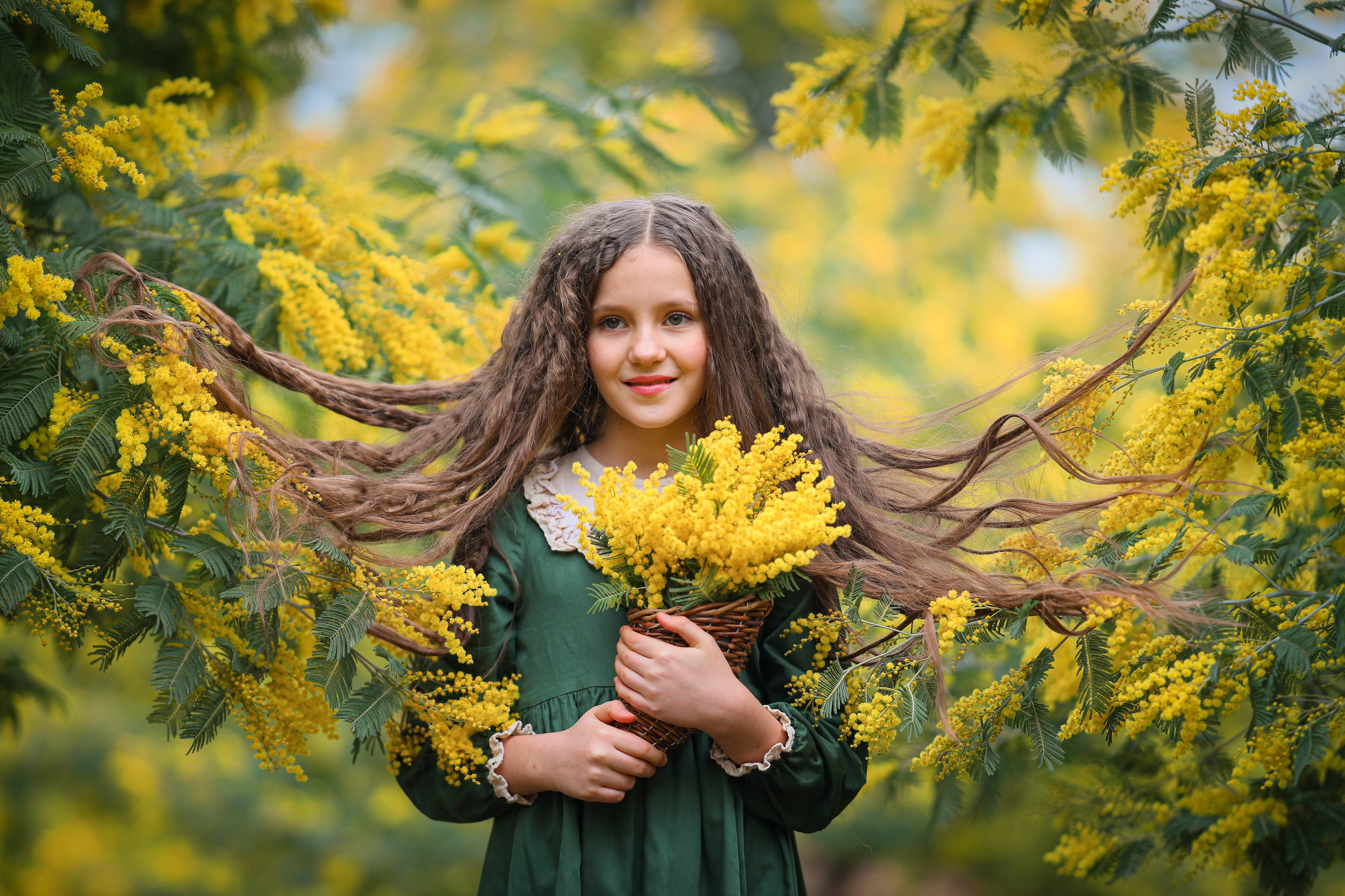 Фотосессии в цветущих садах мимозы Абхазия