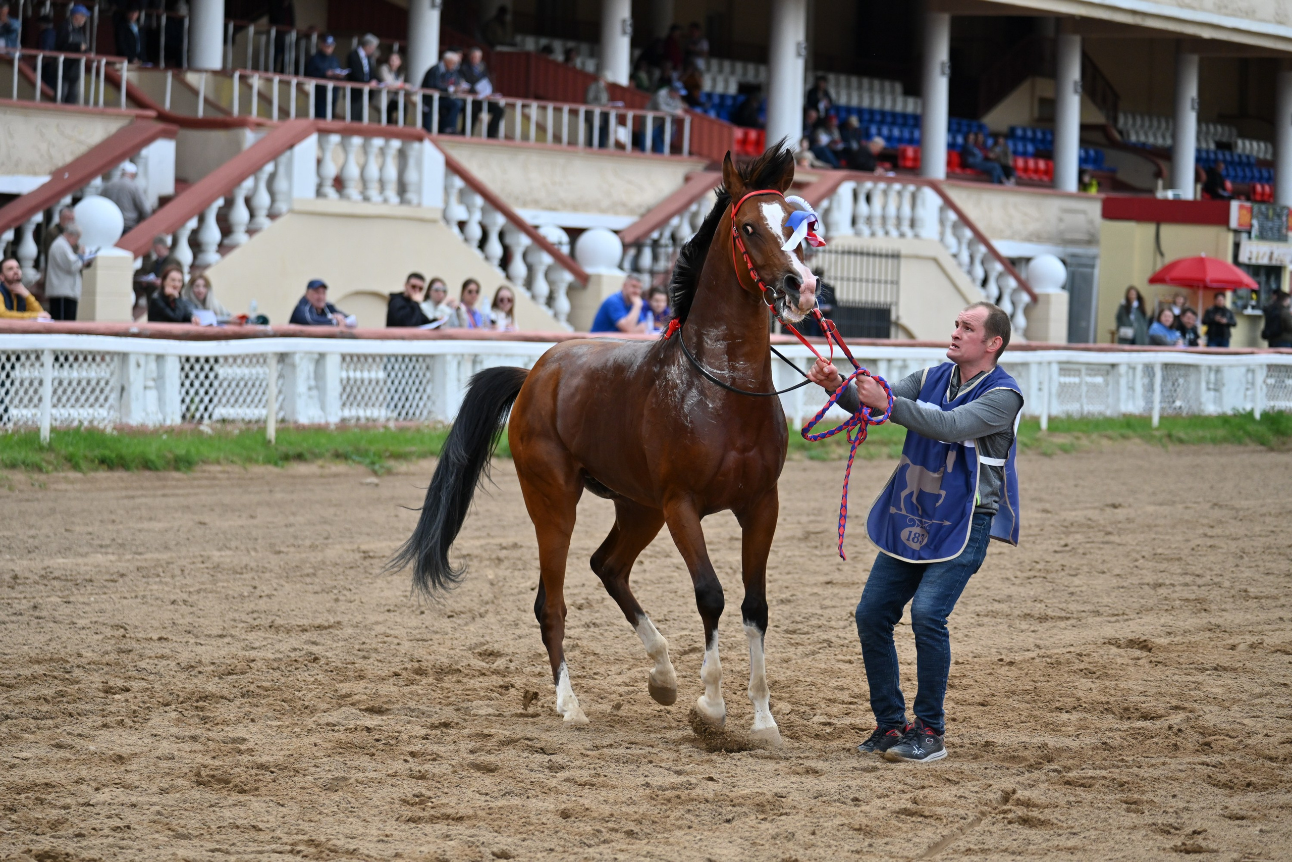 Московский ипподром. Fotolux