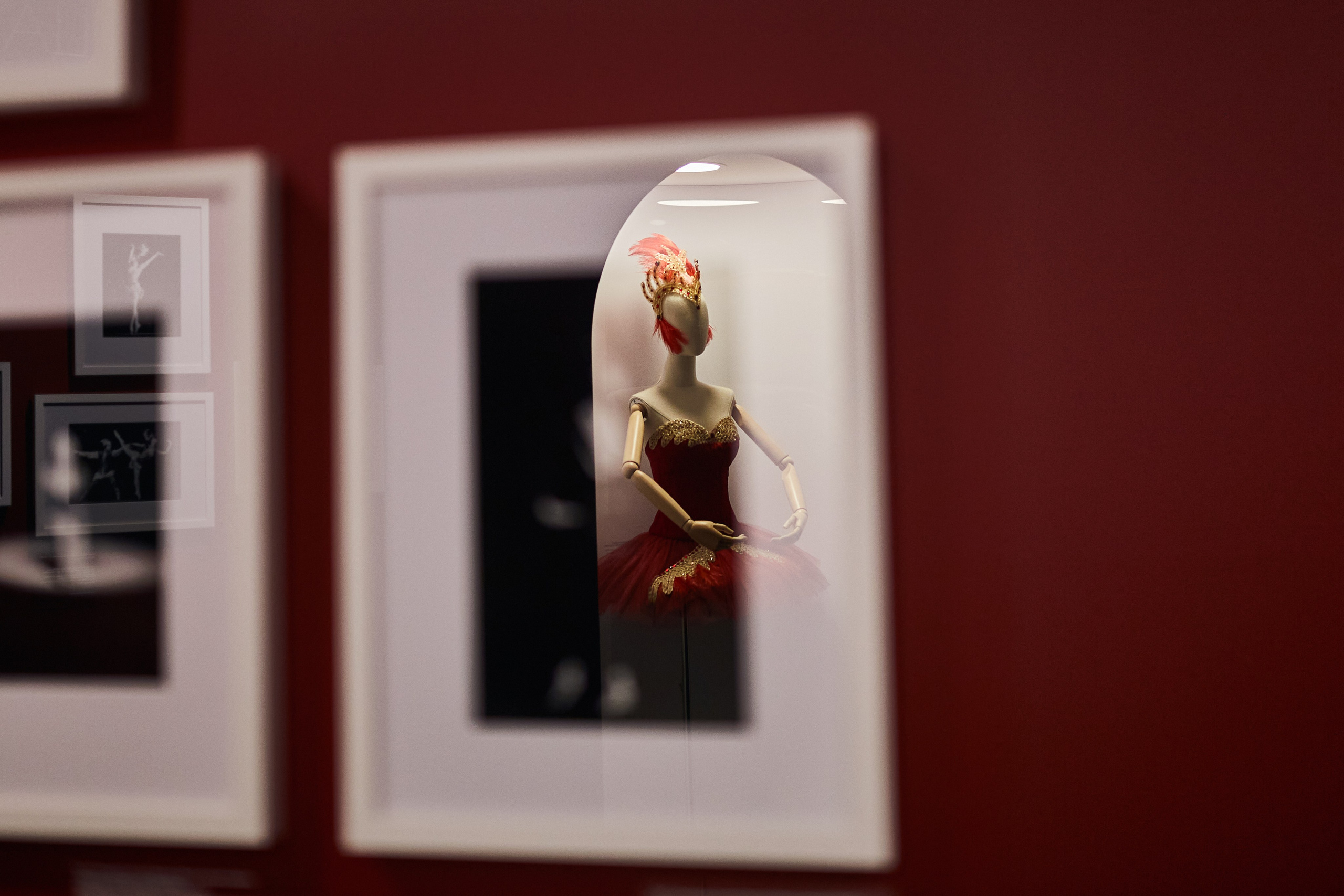 Выставка «Майя Плисецкая. Полюс магии». Даниил Гузиенко — репортажный фотограф в Туле