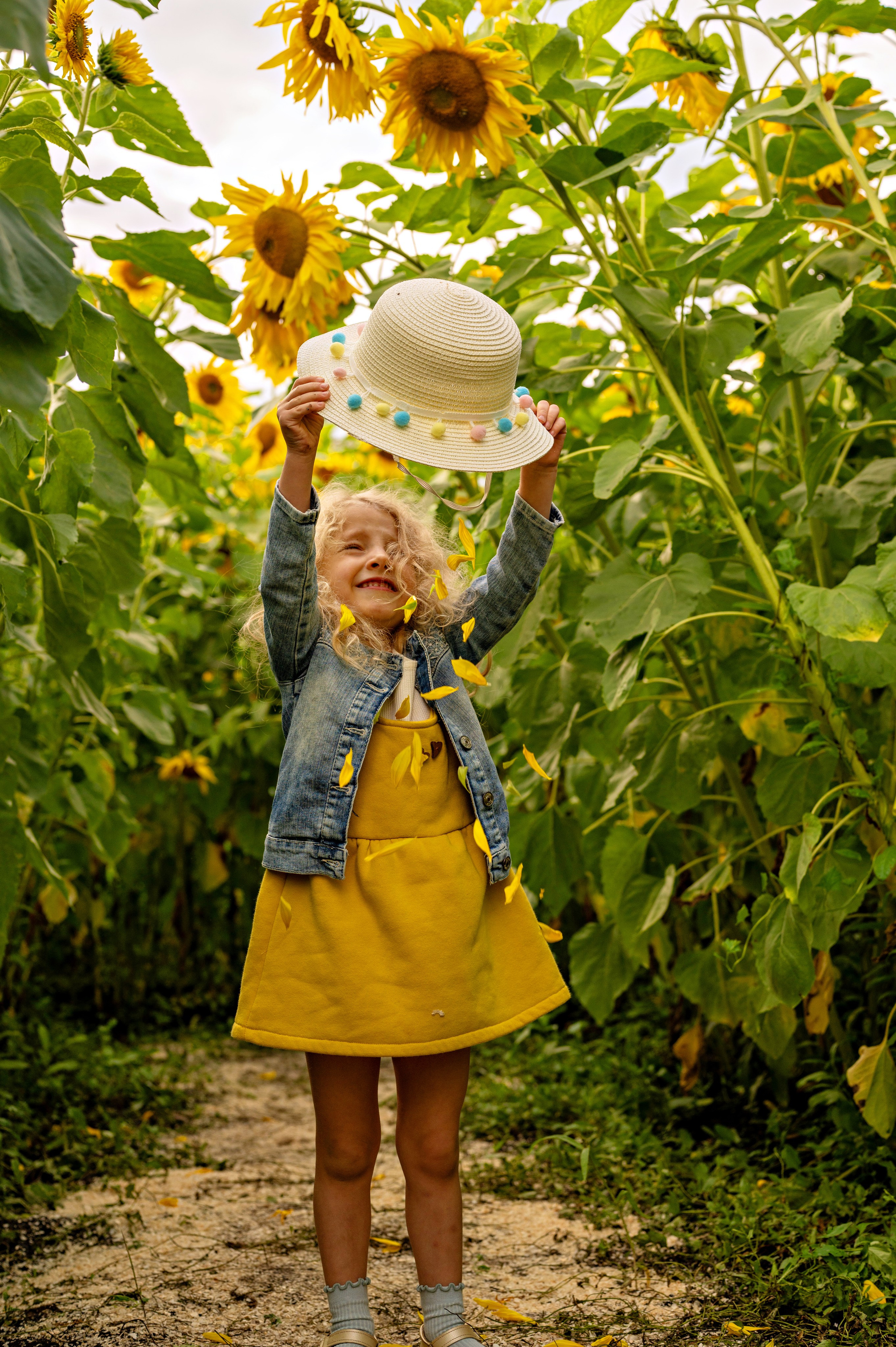 Подсолнухи. Фотограф новорожденных, семейный детский в Тюмени Татьяна Морозова