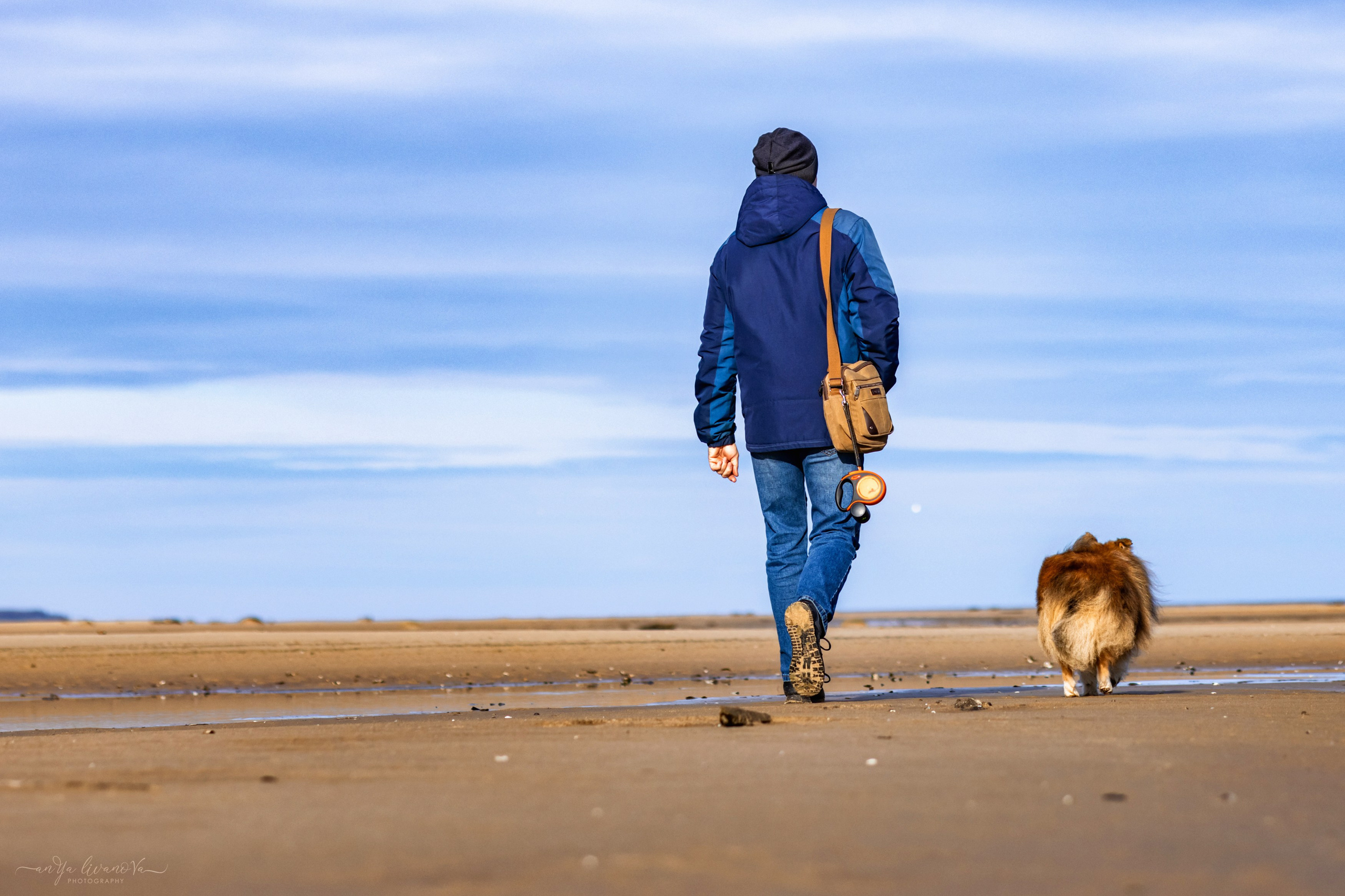 Рома. Фотограф анималист Аня Ливанова | Рыбинск