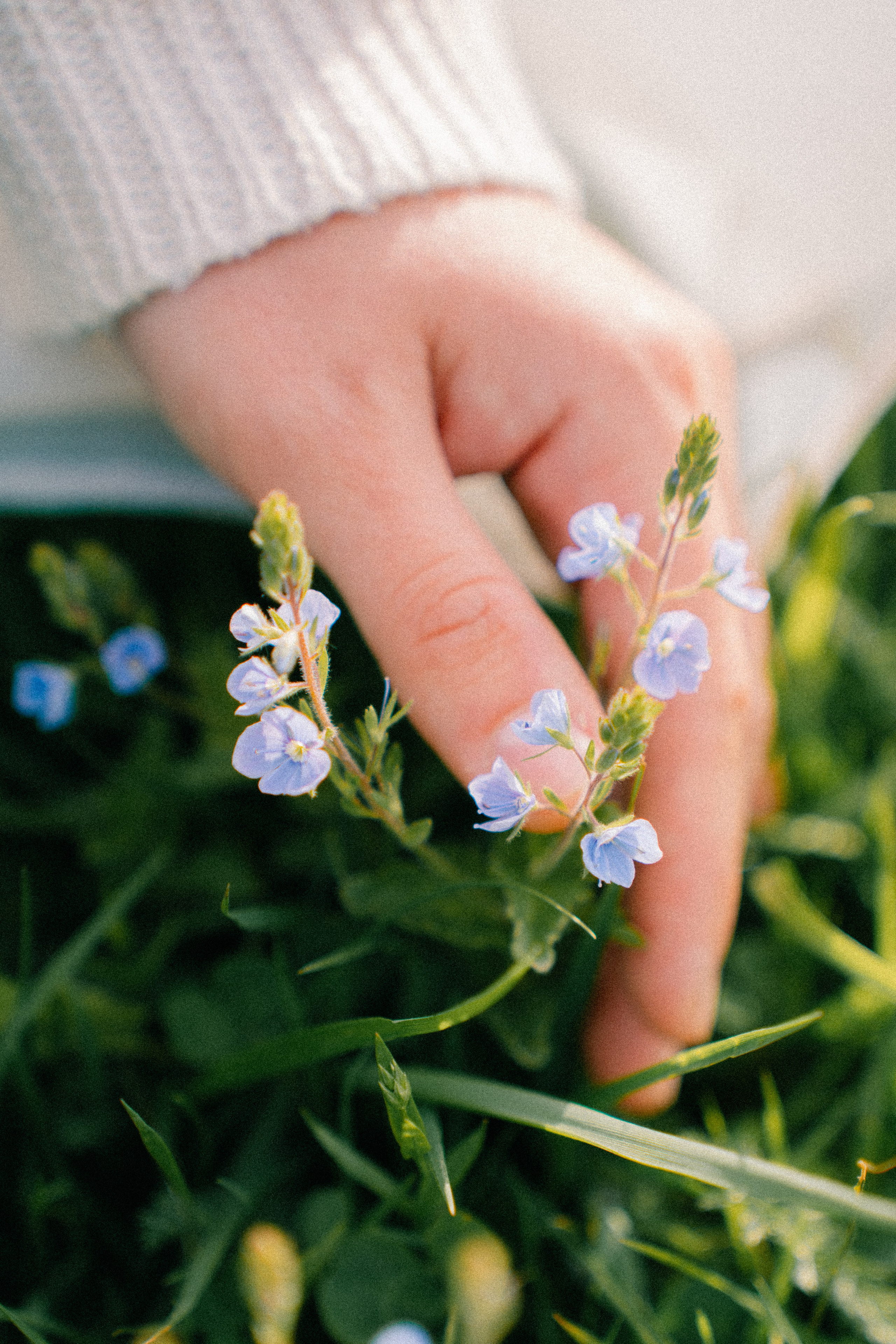 Майская прогулка у озера. Фотограф в Новосибирске Дмитрий Матвеев