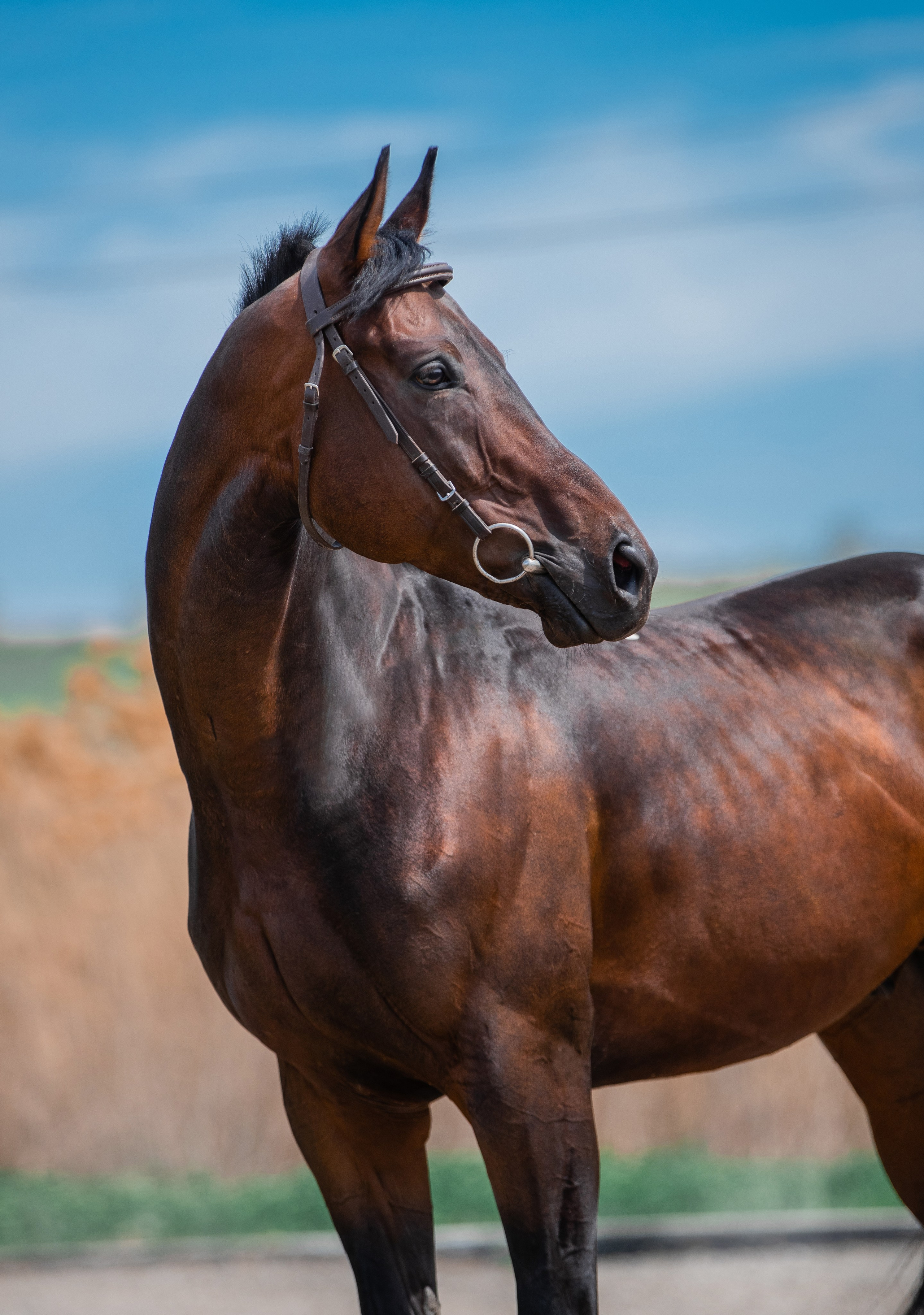 На природе. Фотограф-анималист Ксендзова Кристина