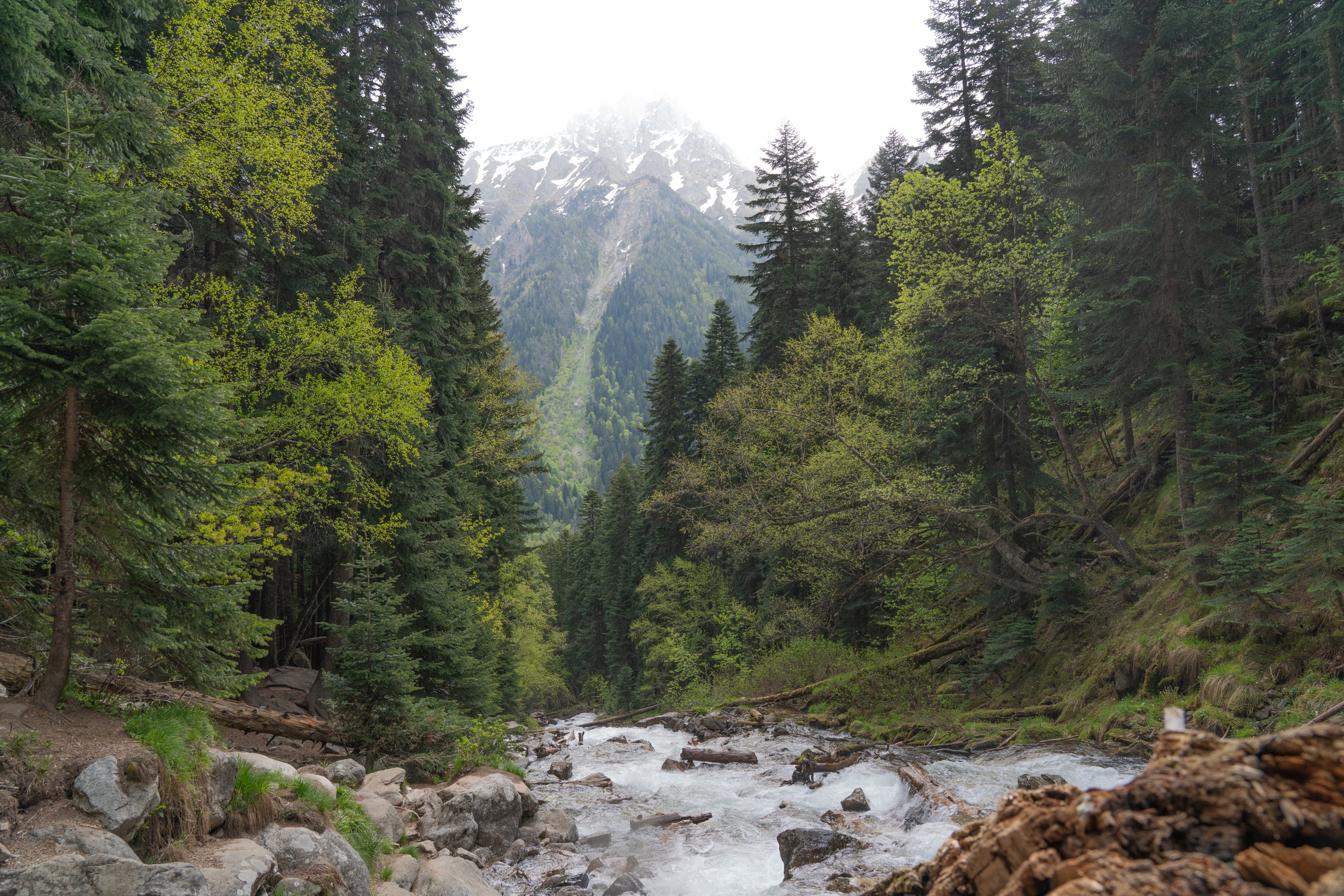 Альбом. Фотограф в Москве Андрей Vintir