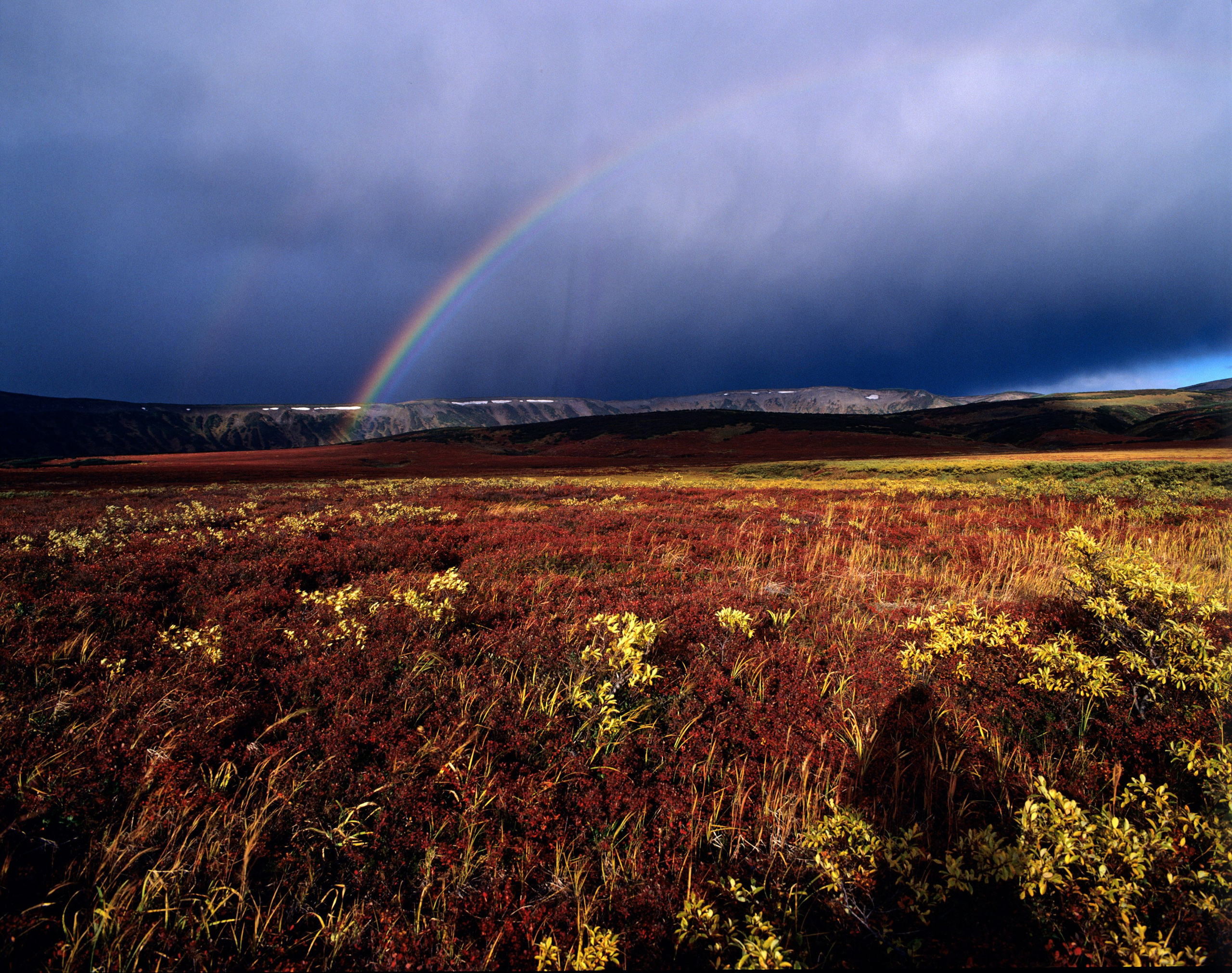 Камчатка. Кальдера Узон. ВАДИМ ГИППЕНРЕЙТЕР — ВЕЛИКИЙ ФОТОГРАФ ЗЕМЛИ РУССКОЙ