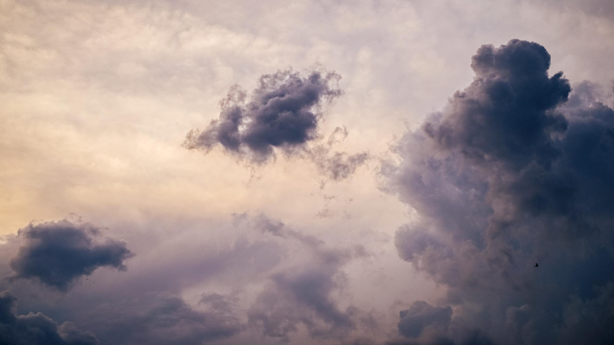 Каталог обоев для ПК\ноутбук. Oleg Kozachok — Photographer with Protanopia | Portraits, Texture & Light