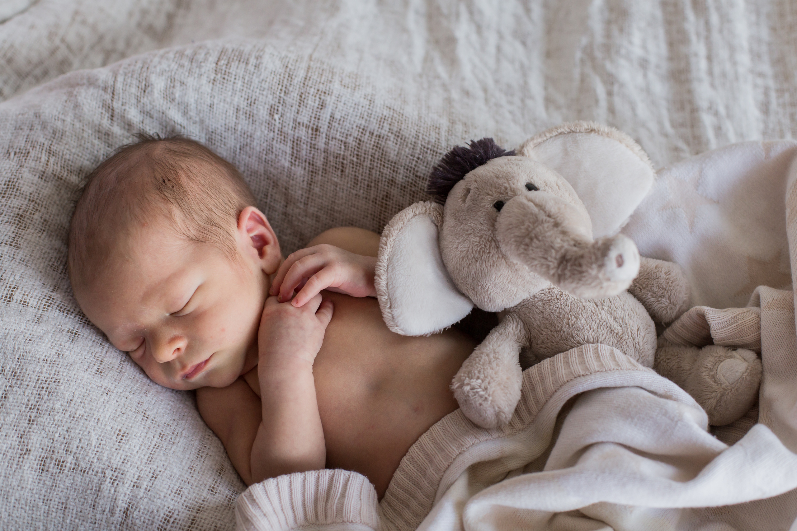 Фотосессия новорожденного в Нижнем Новгороде. Photographer in Montenegro — professional photoshoots