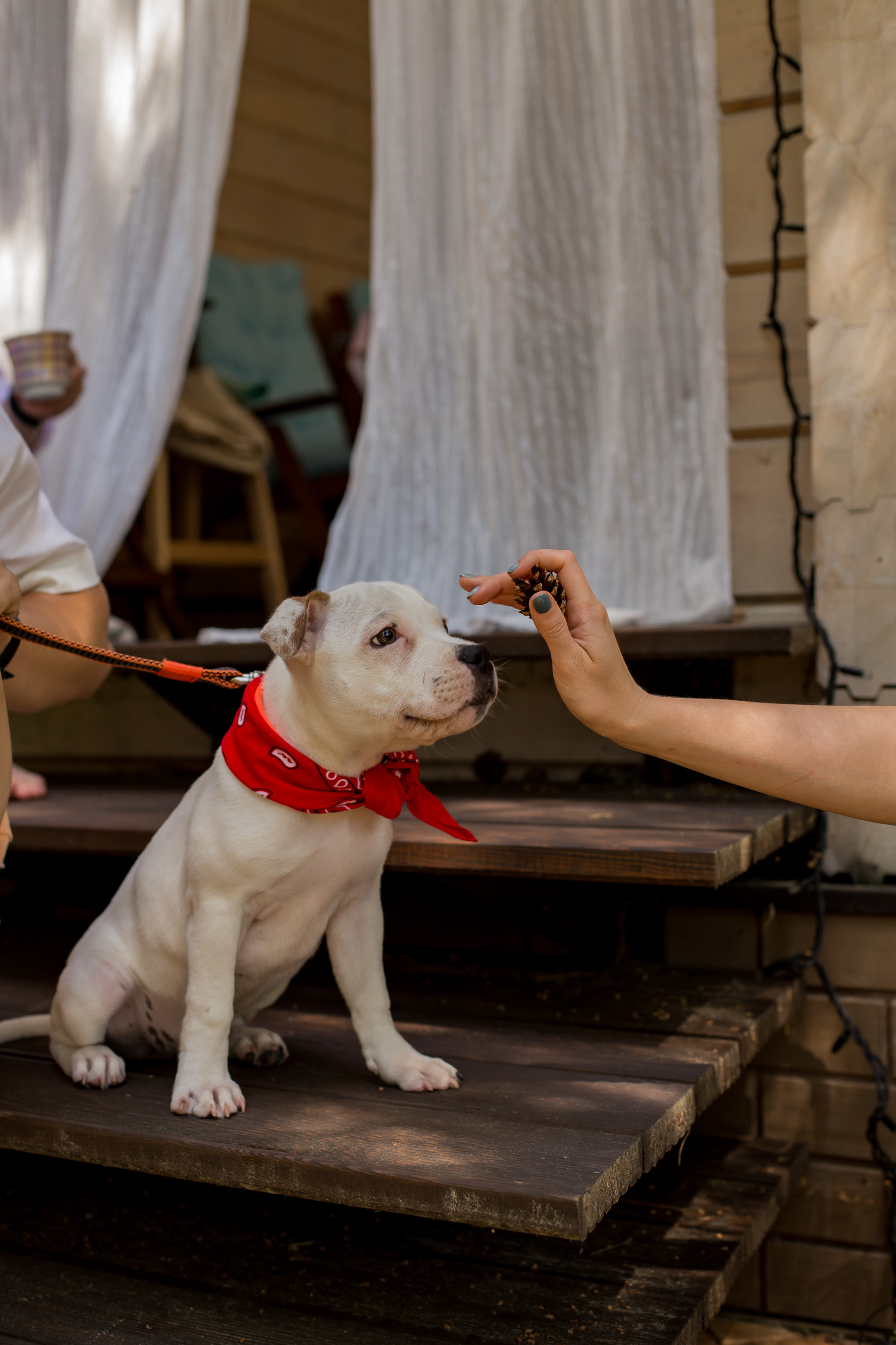 Добро пожаловать в семью. Photographer in Montenegro — professional photoshoots