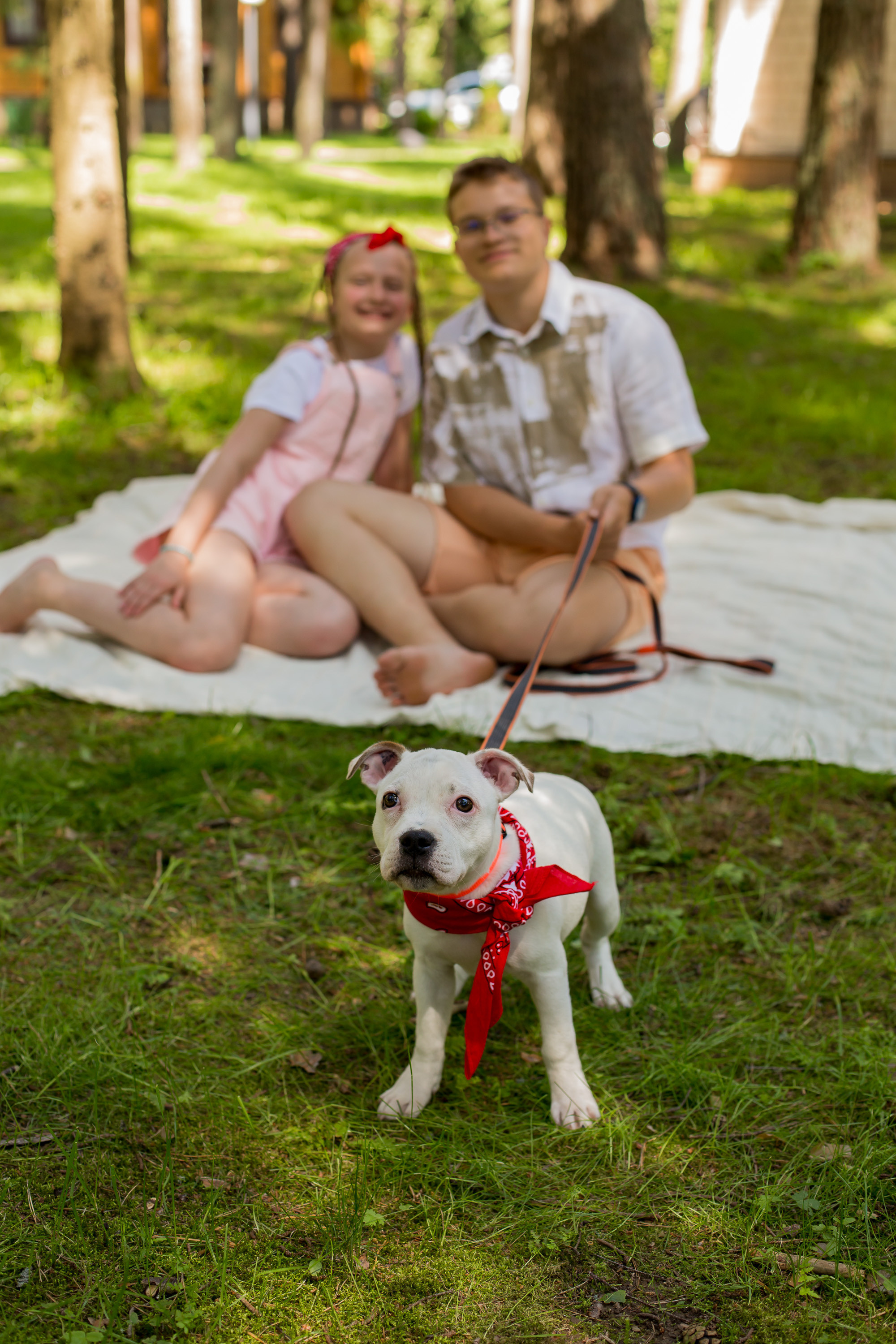 Добро пожаловать в семью. Photographer in Montenegro — professional photoshoots