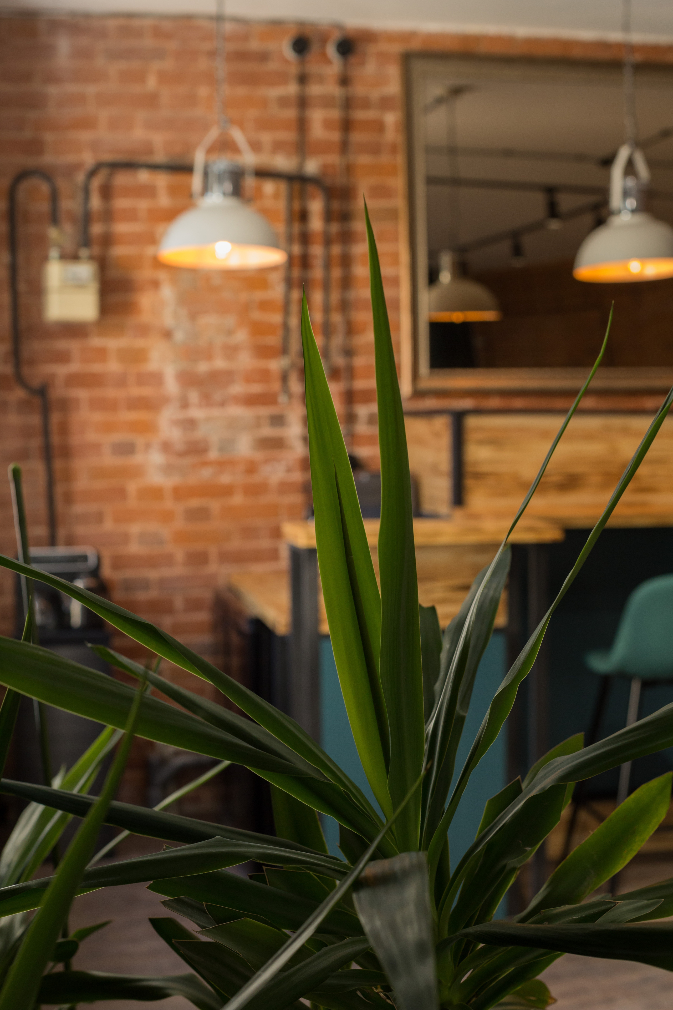 Интерьер офиса. Фотограф в Черногории — семейная фотосессия с детьми, лавстори,