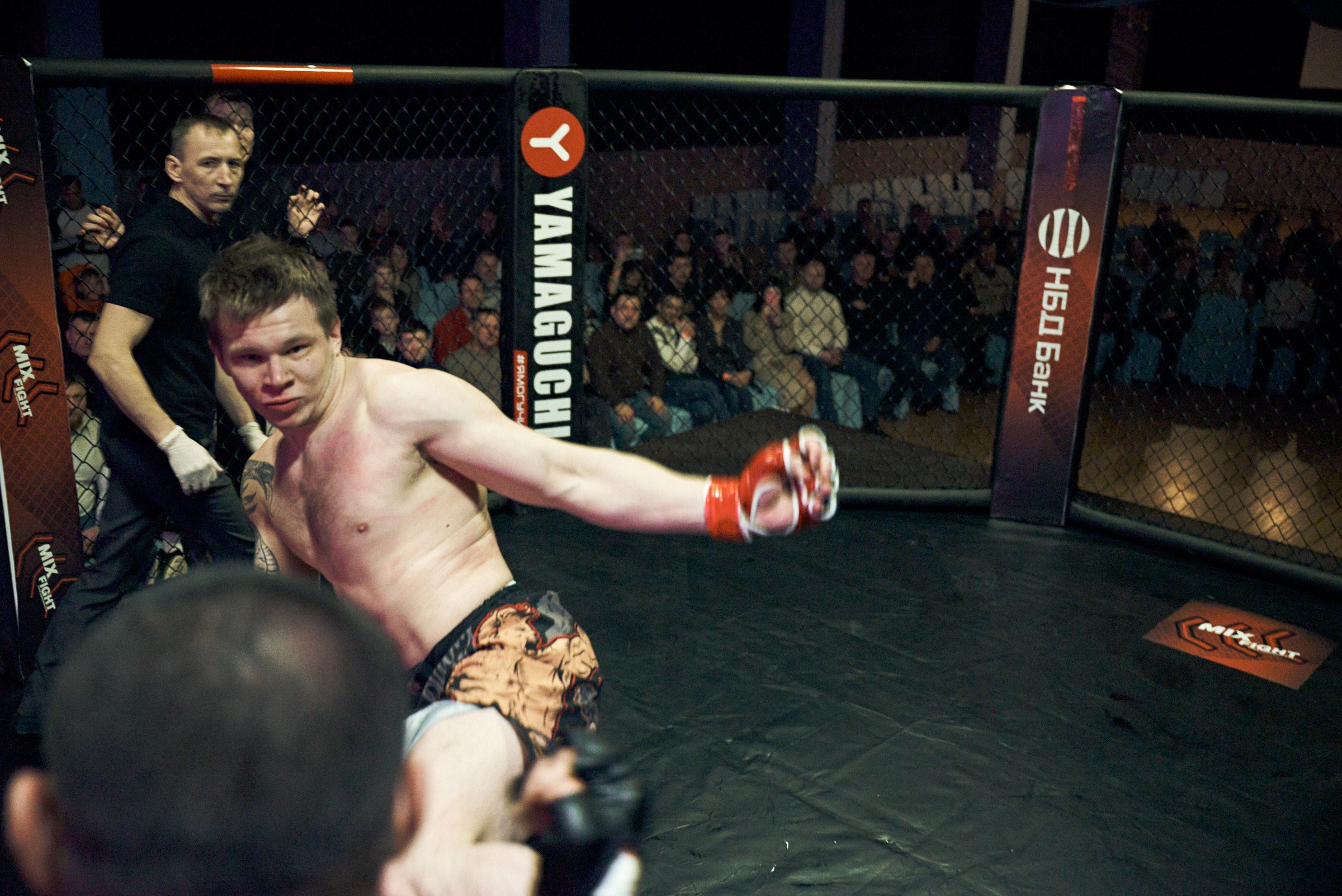 Бои. Маляревич Дмитрий свадебный фотограф