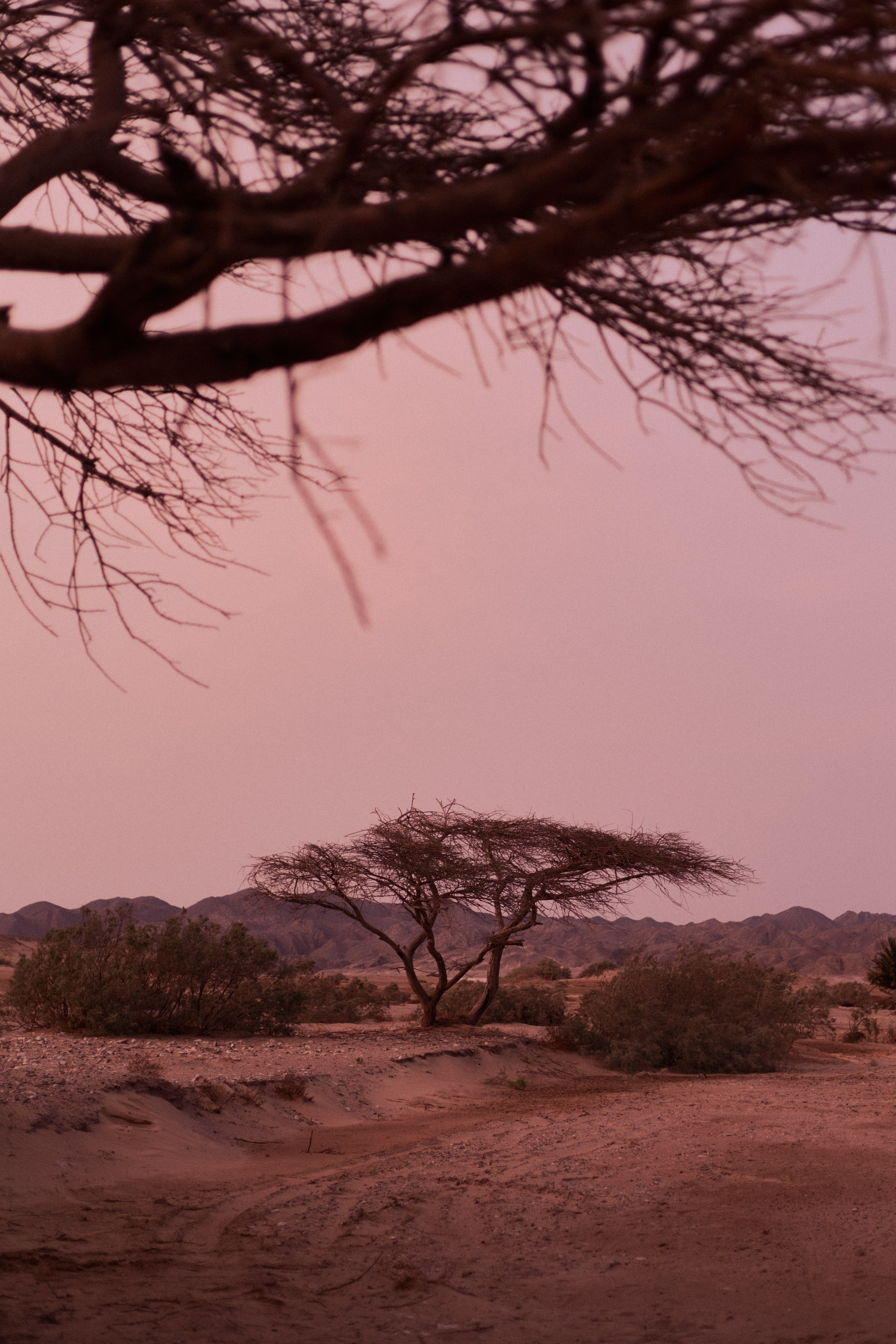 Другое 3. Jorgis Talè — photographer, kind person, teacher of arts and other mag