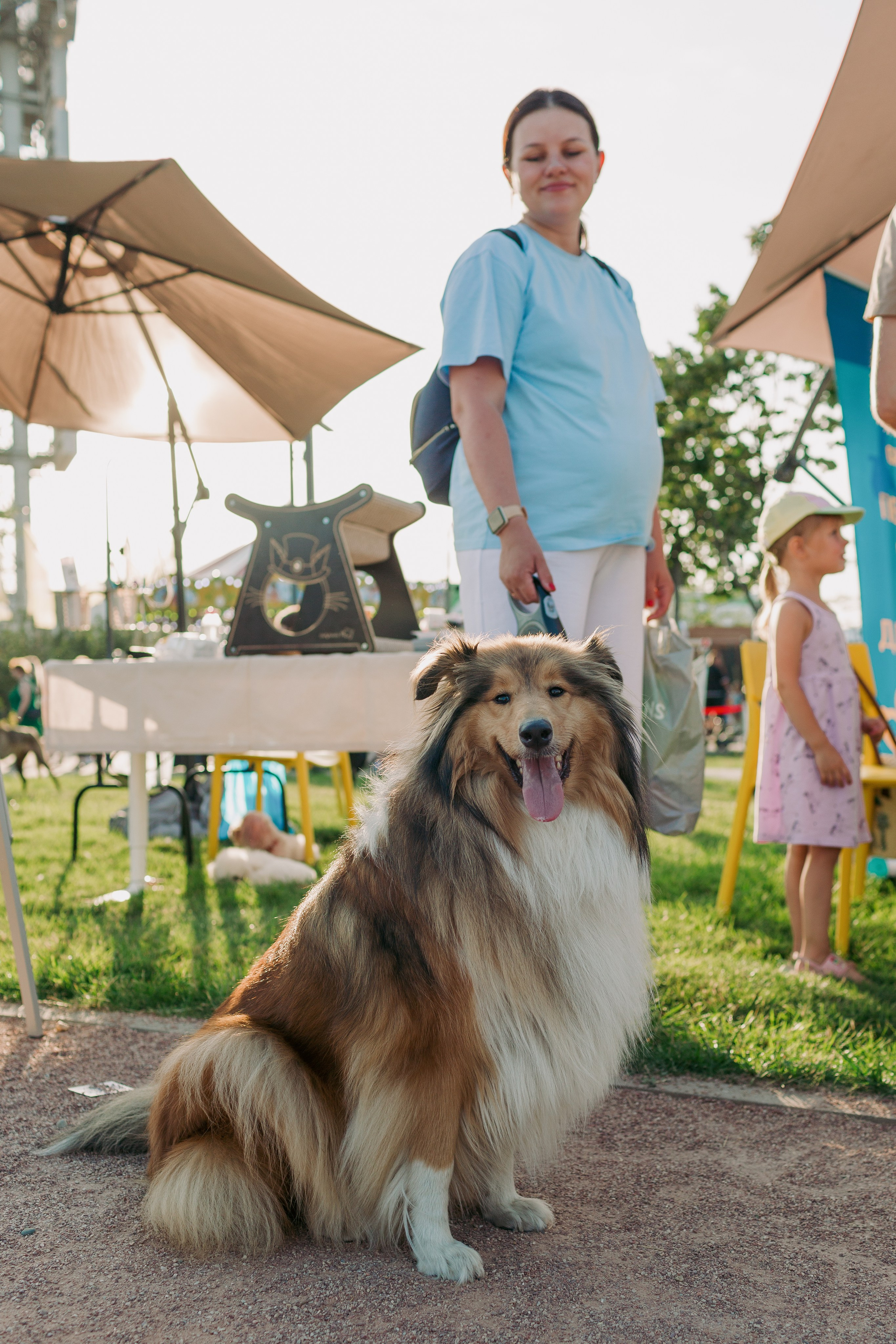 Dog Fest 2024. Главная