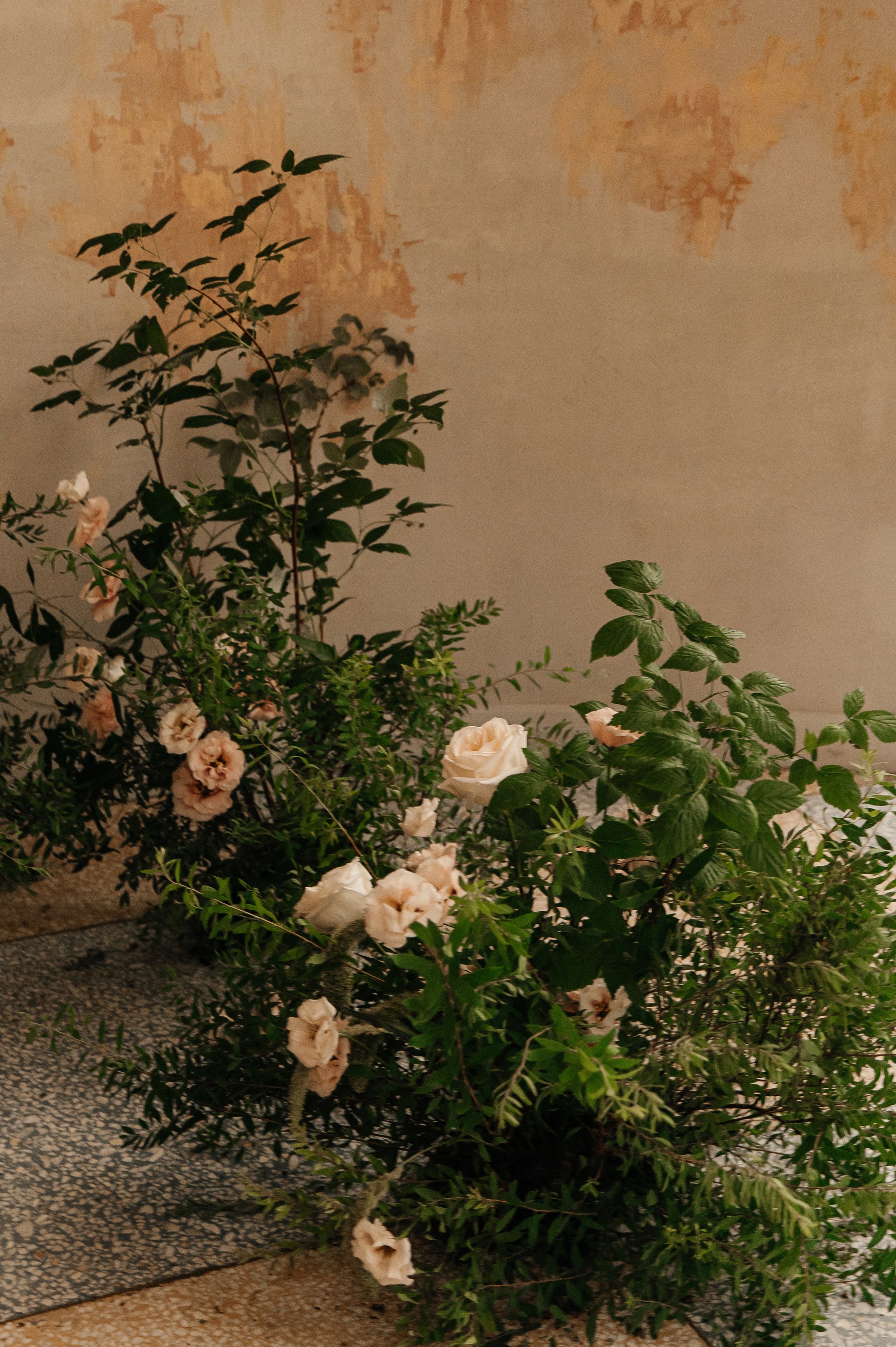 1.07.2024. Мария — Свадебный фотограф