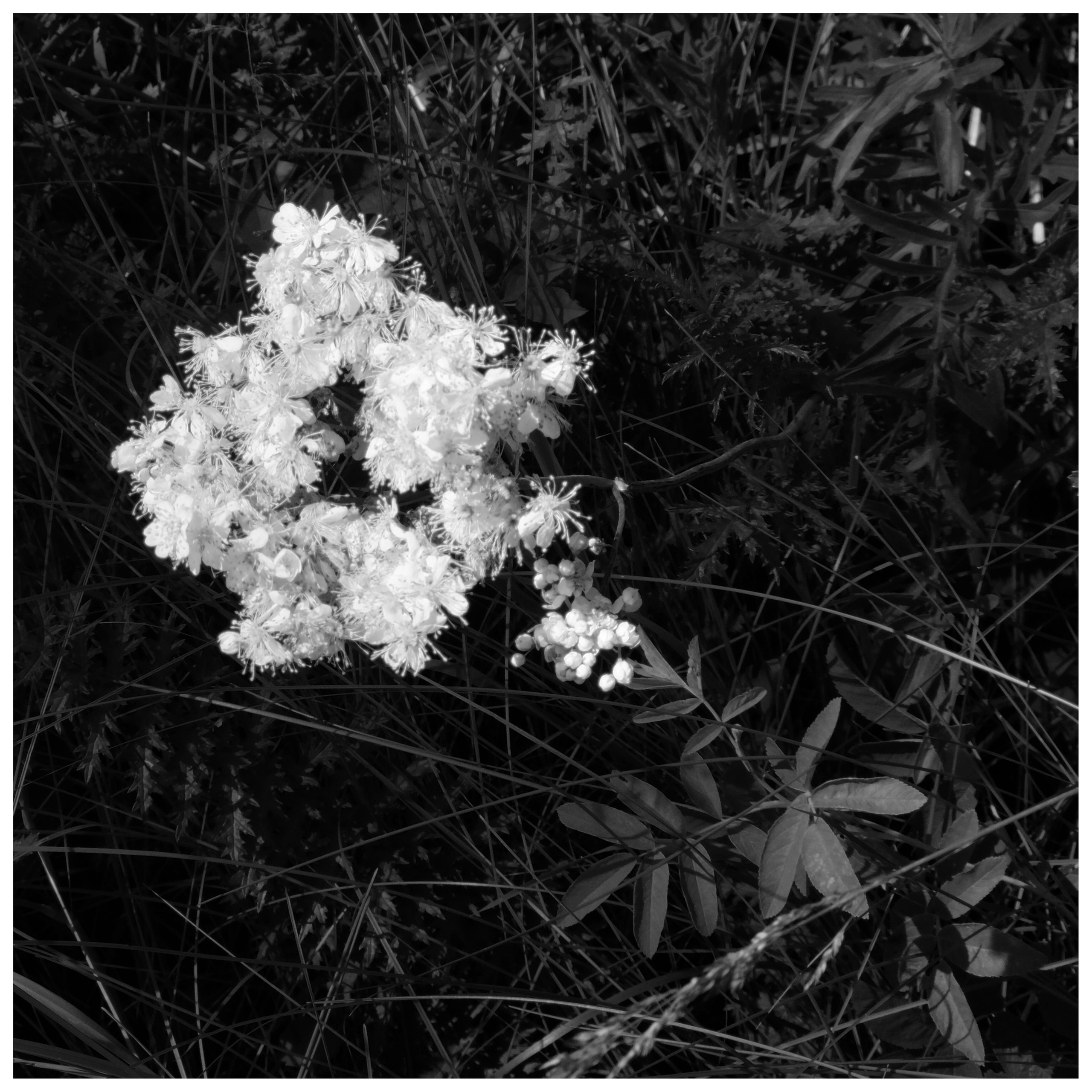 Внутривенные сны (2018-2023)