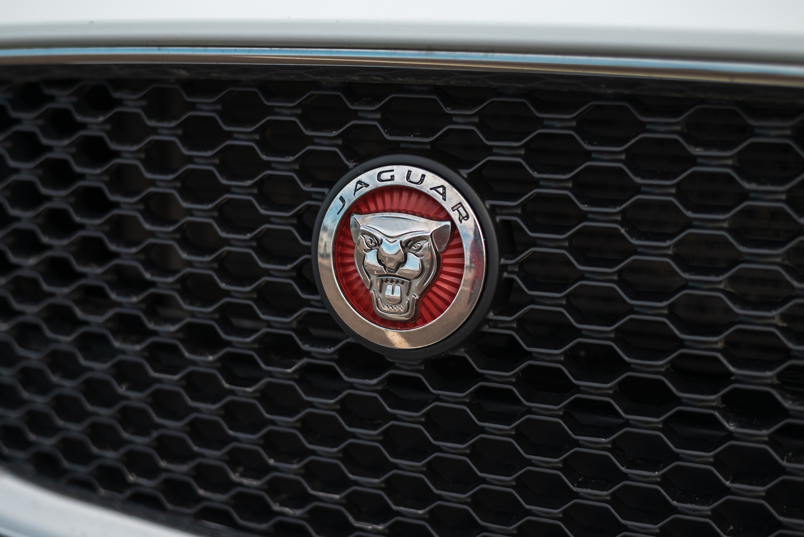 Съёмка для каршеринга SVCAR.RU. Фотограф Ирина Курта