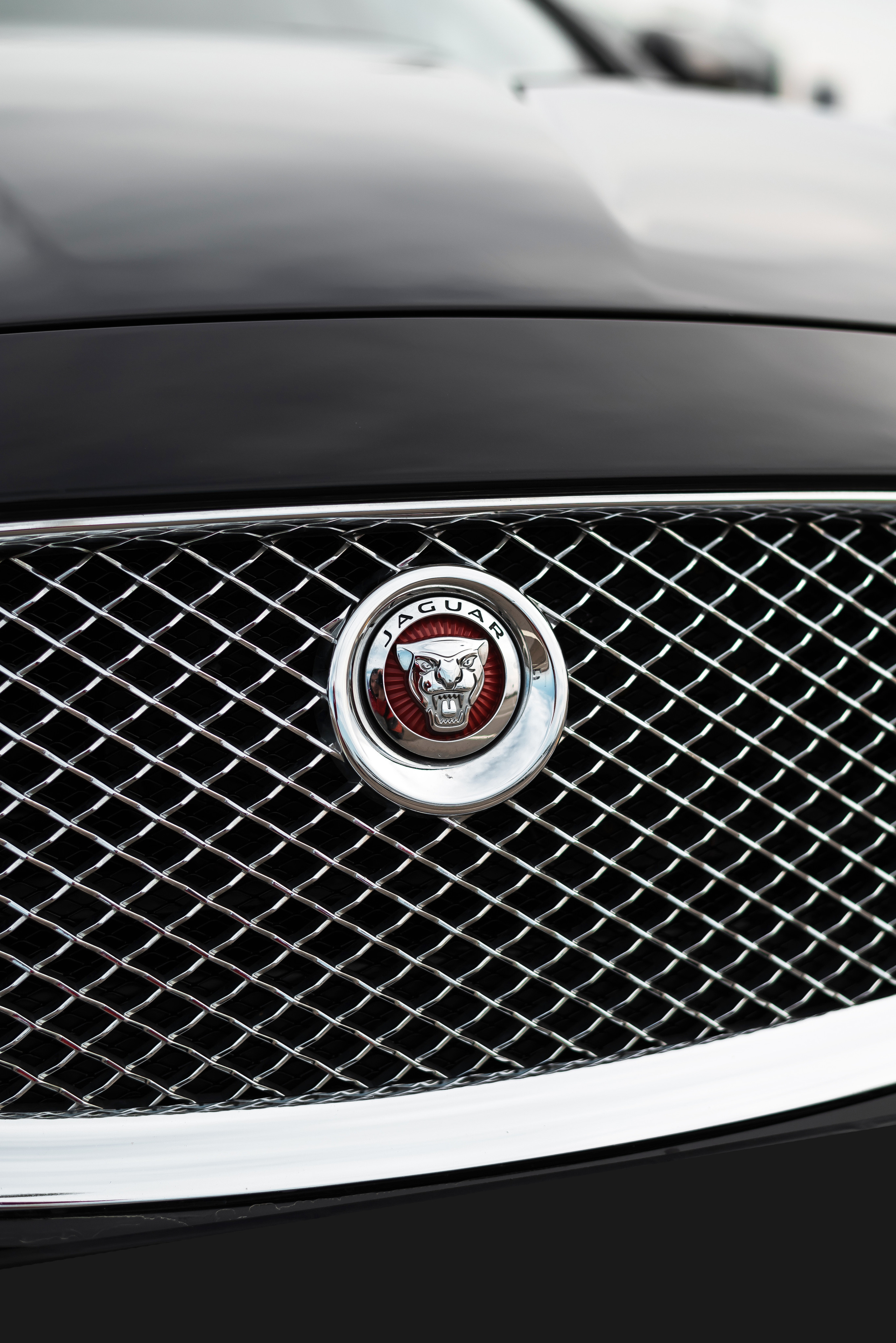 Съёмка для каршеринга SVCAR.RU. Фотограф Ирина Курта