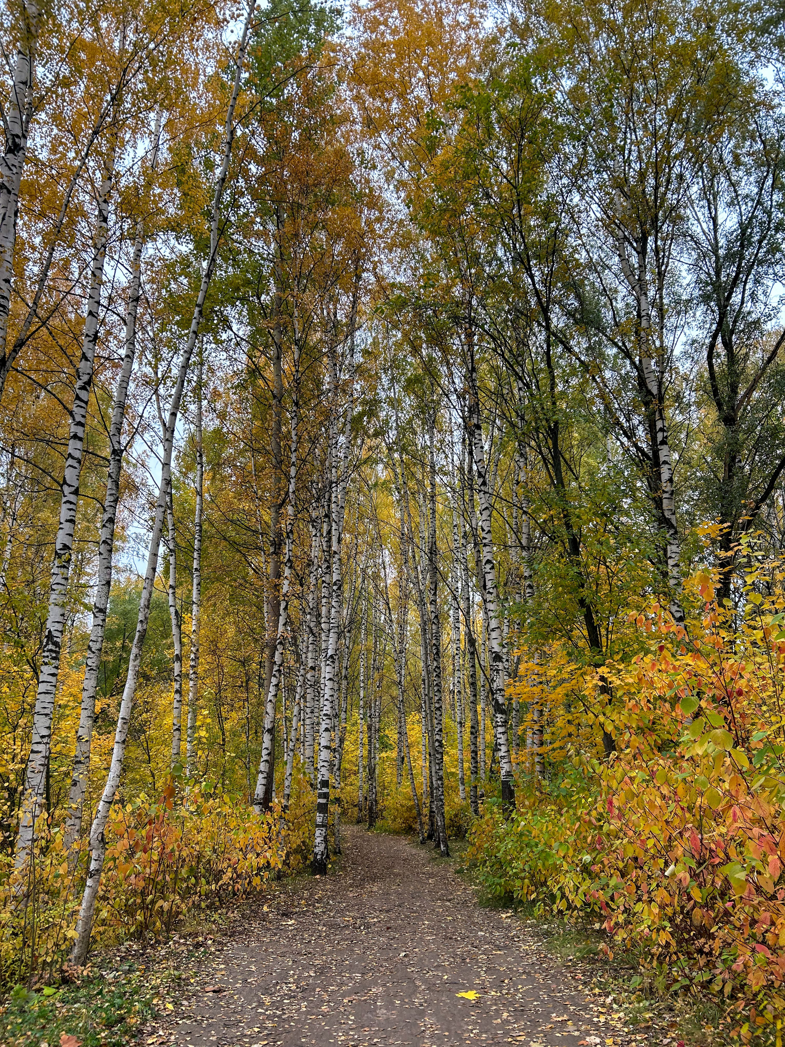 Природа. Фотокружок «Видоискатель» ГБОУ СОШ № 291