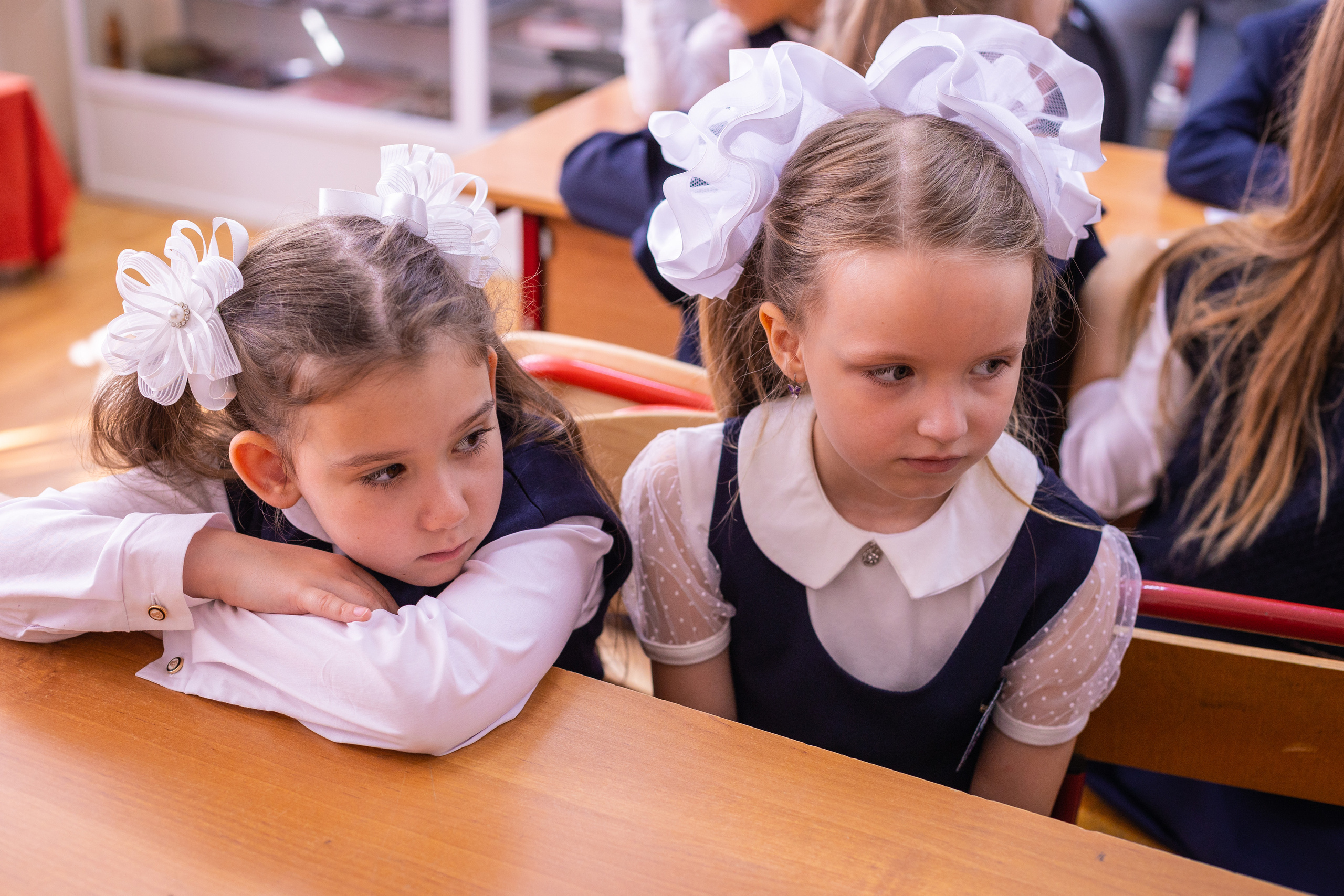 1 СЕНТЯБРЯ. Я фотограф из Москвы к Вашим услугам