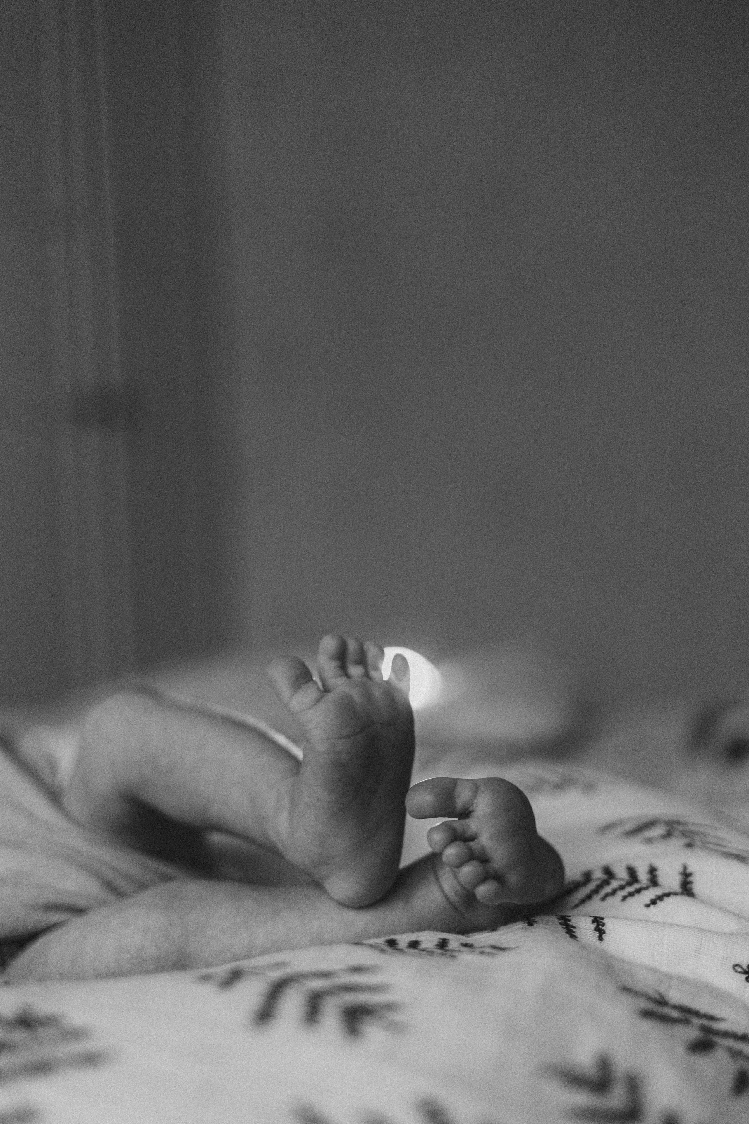 Новорожденные. Фотограф Москва